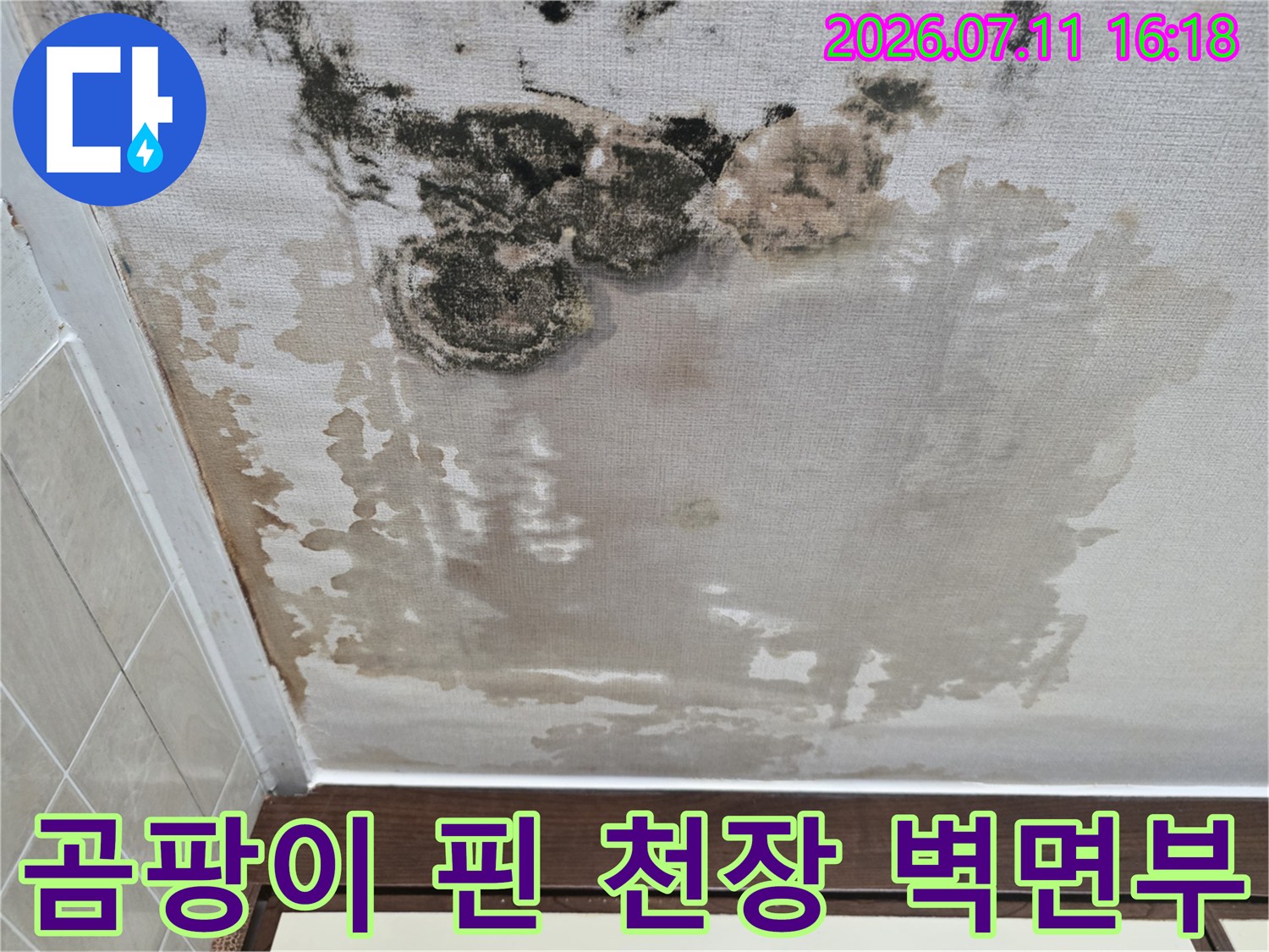 물샘으로 인해 오염된 아파트 내부 천장과 벽면