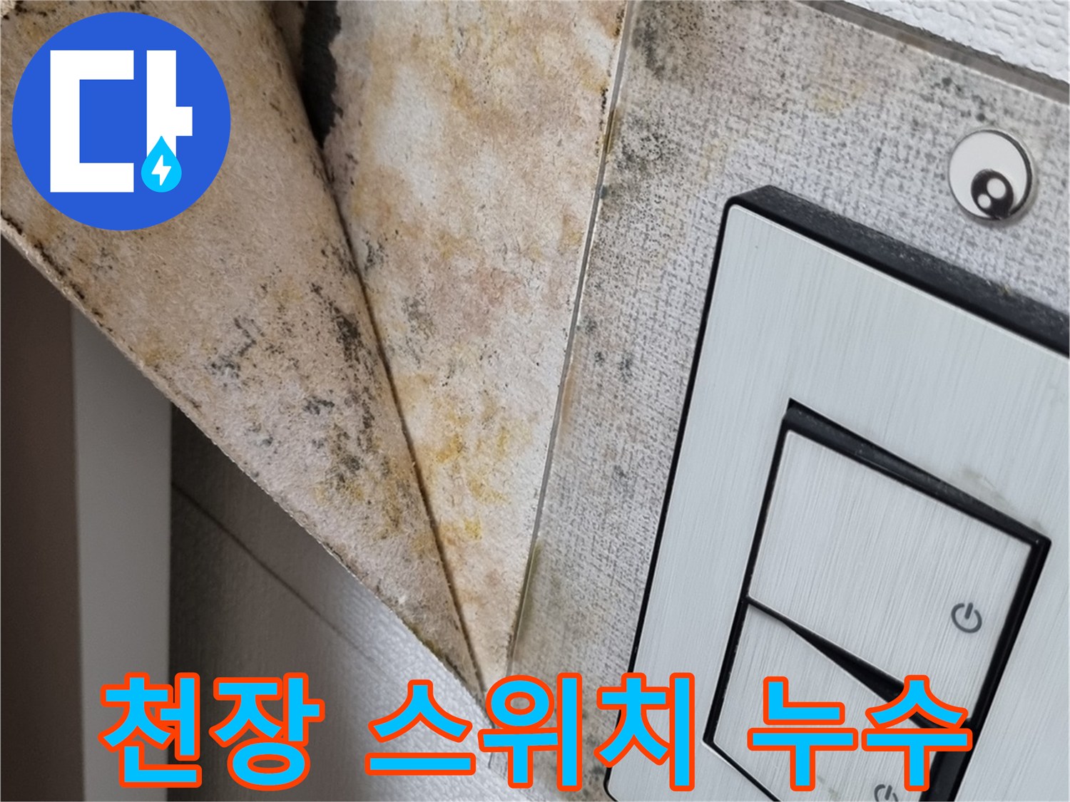 스위치-박스-주변의-심한-벽지-변색과-곰팡이-흔적