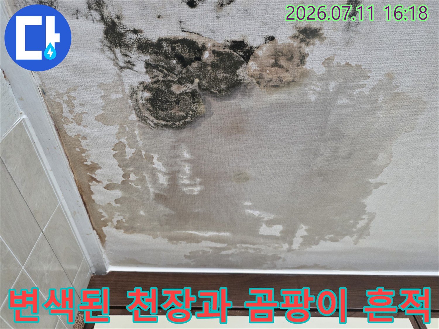 습기로 인해 변색되고 곰팡이가 발생한 실내 천장면