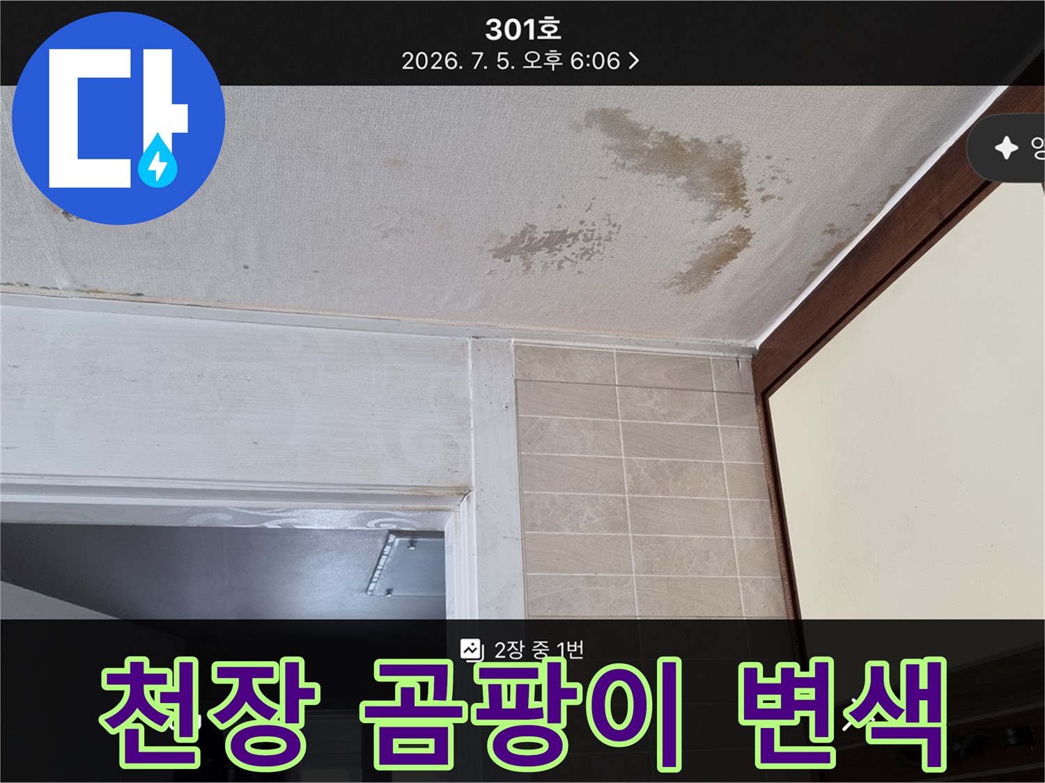 아파트-천장-벽지-변색-및-곰팡이-발생-현황