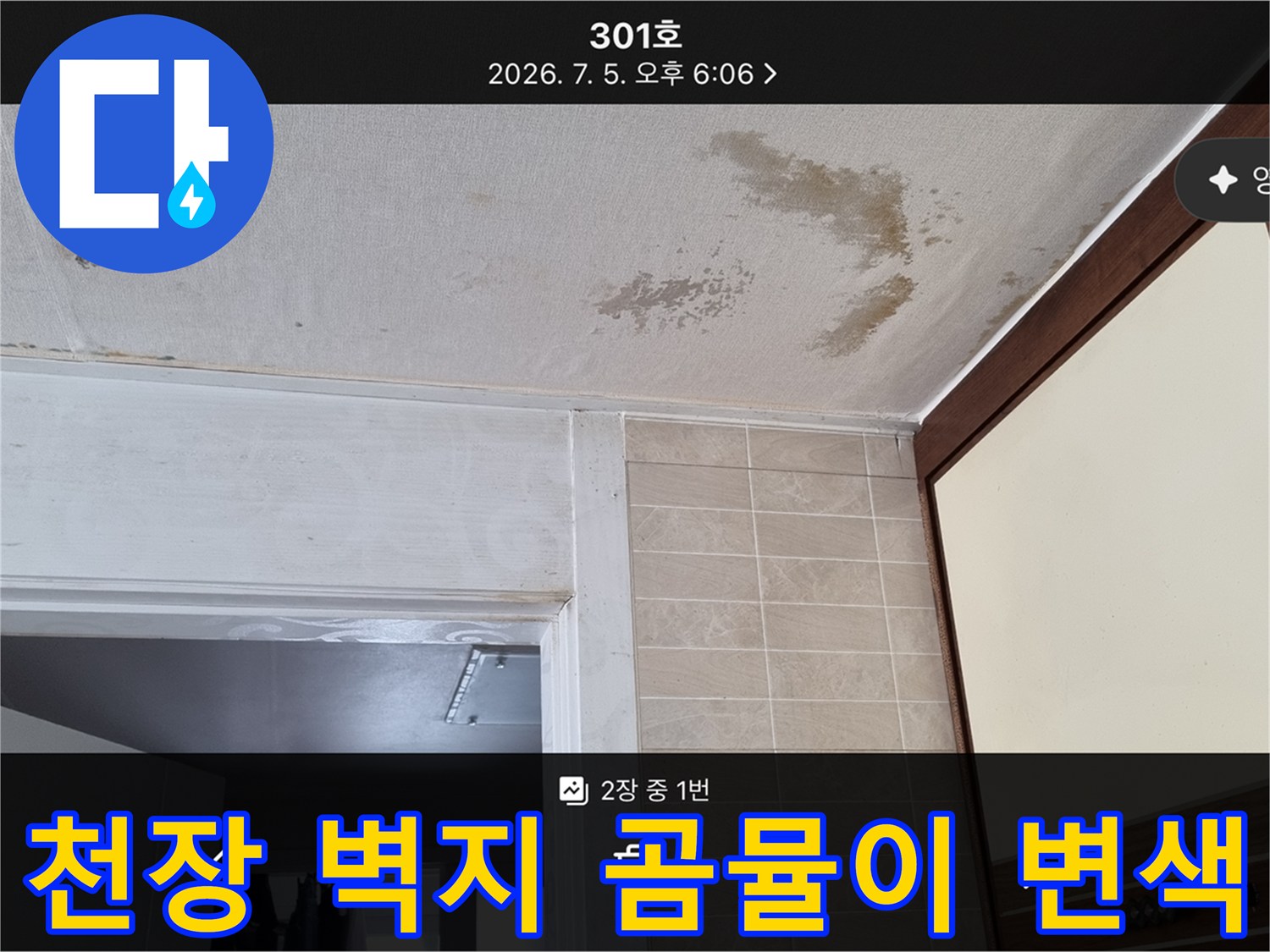 천장 벽면-습기로 인한 곰팡이와 얼룩 발생