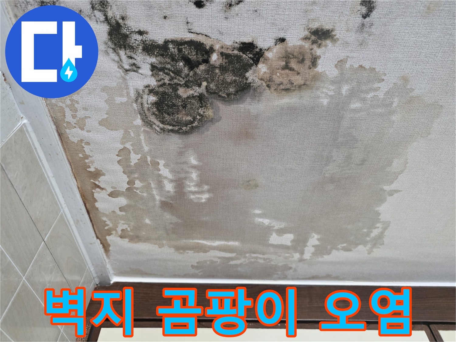 천장-벽지-상단의-심각한-곰팡이-번짐
