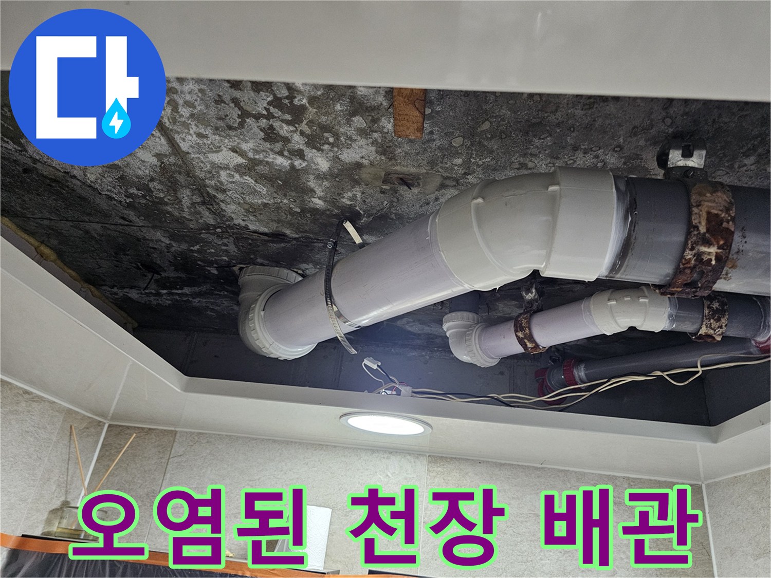천장 내부-곰팡이가 피어있는 배관 주변