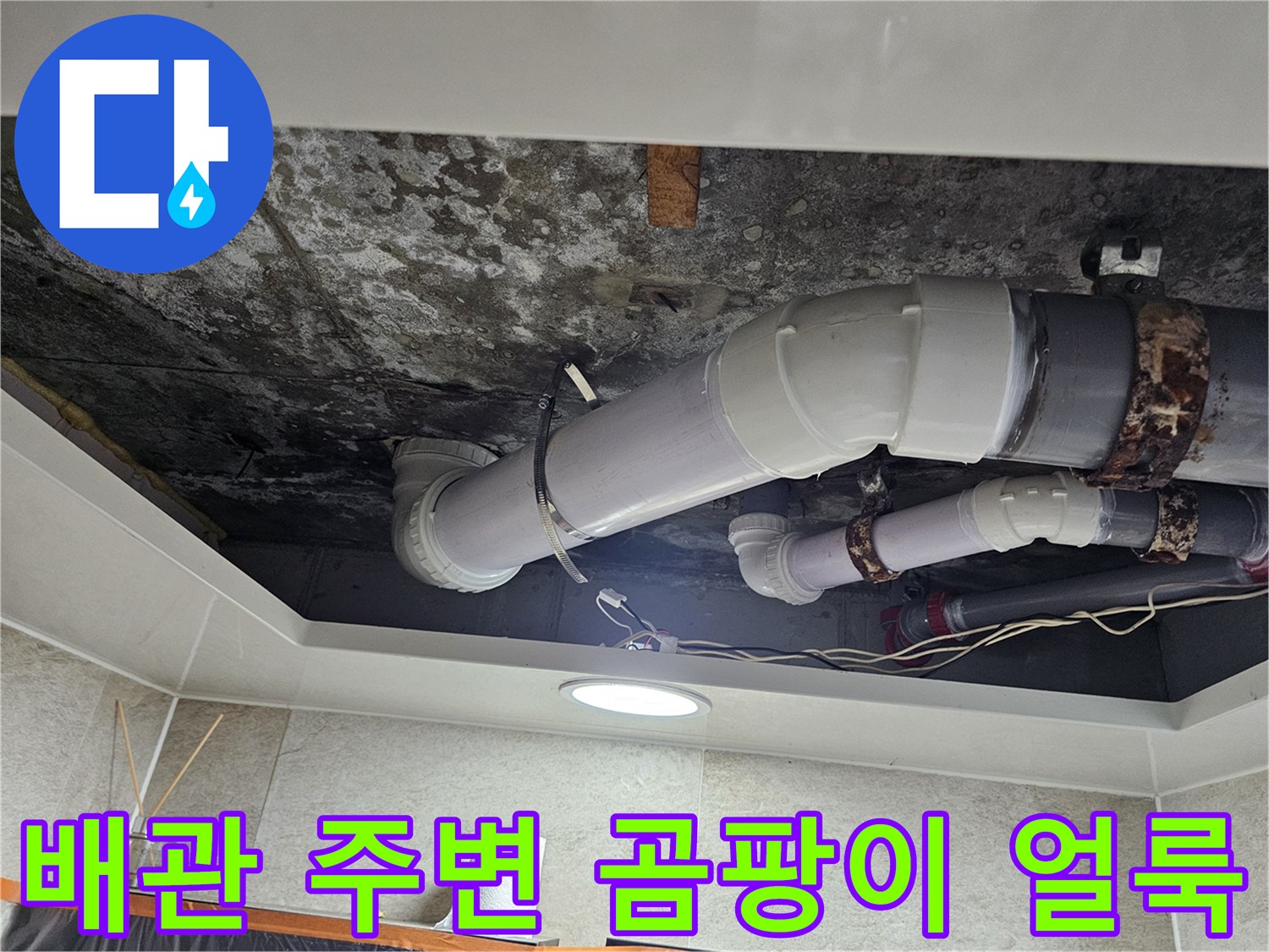 천장-내부-배관-주변의-심한-곰팡이-오염-상태