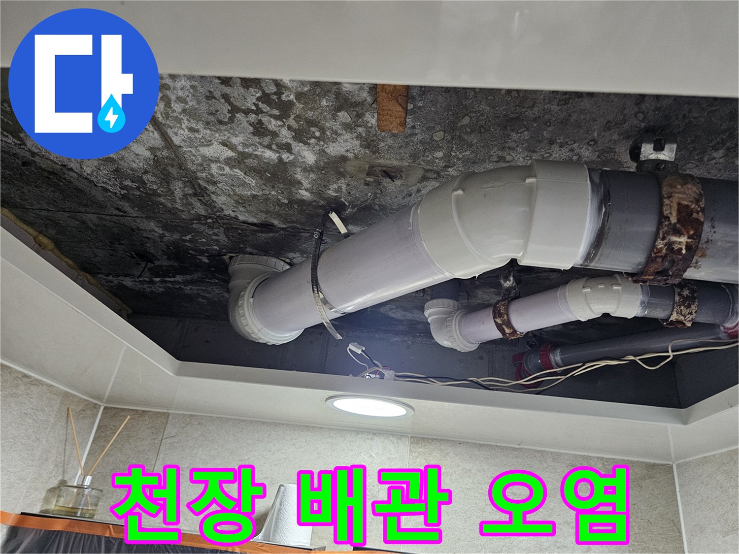 화장실 천장 내부-오래된 하수 배관과 곰팡이