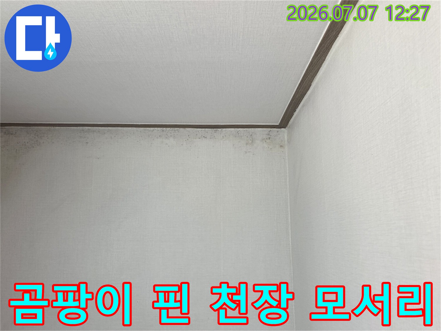 벽면과 천장의 접합부에 발생한 누수 흔적으로 인한 변색 및 곰팡이