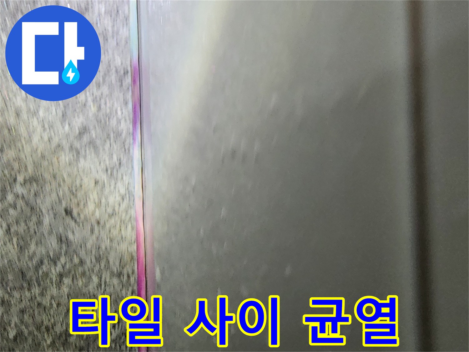 습기가-스며드는-타일-경계-부위