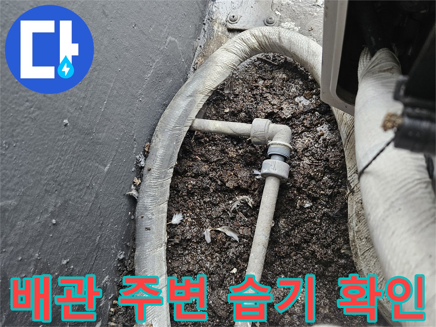 배관-주변-젖은-흙과-이물질-상태-확인
