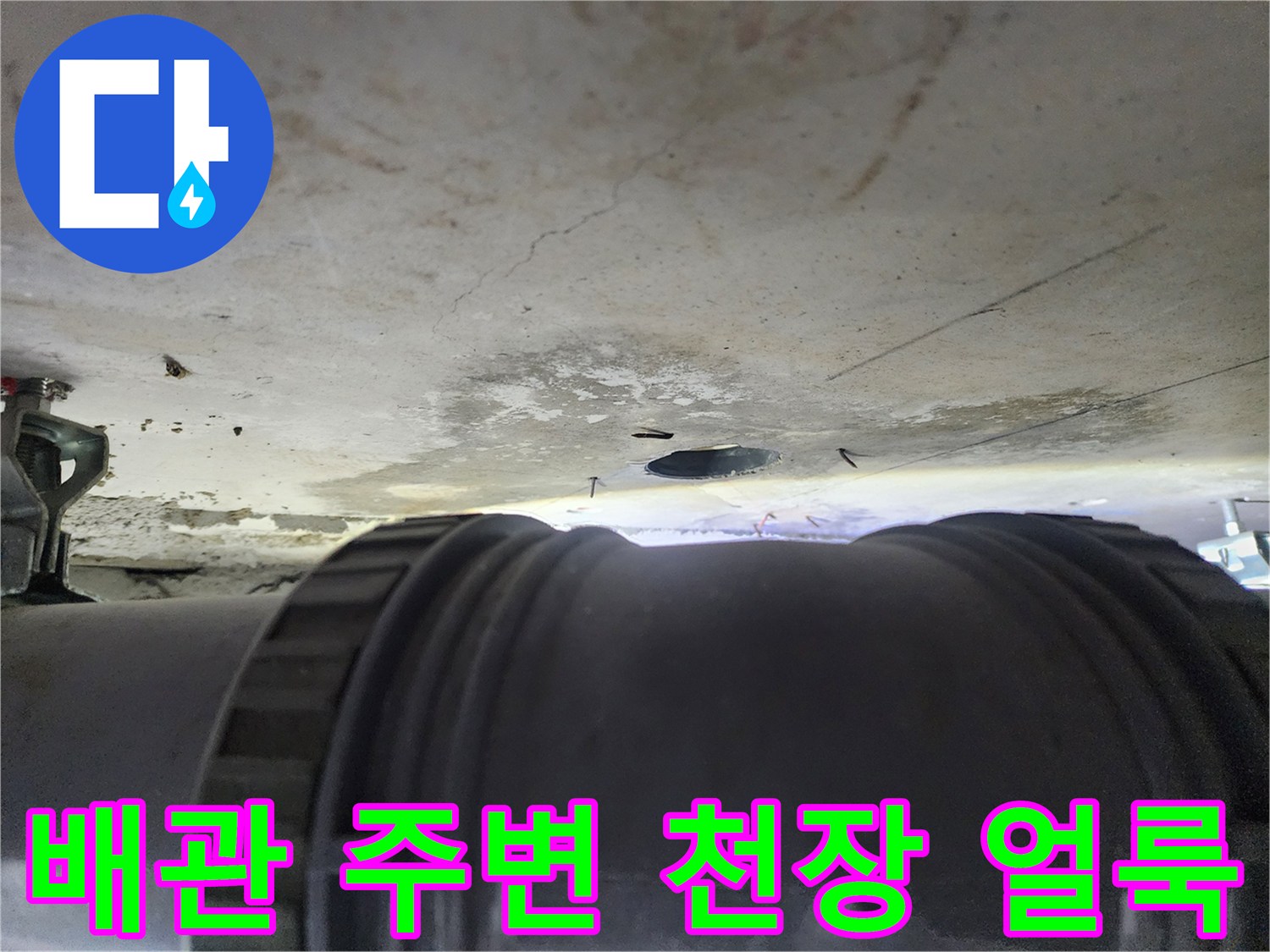 하수 배관과 물에 젖어 변색된 천장 판넬 내부 모습