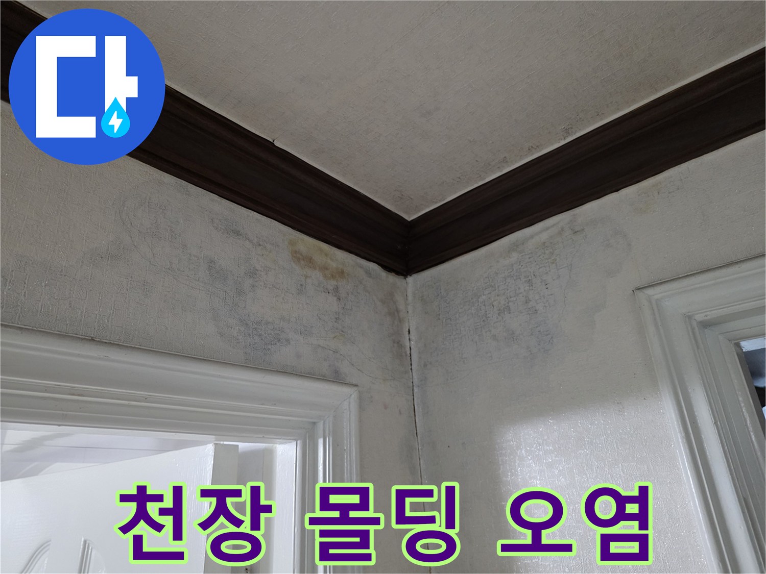 천장-몰딩-주변의-어두운-누수-얼룩