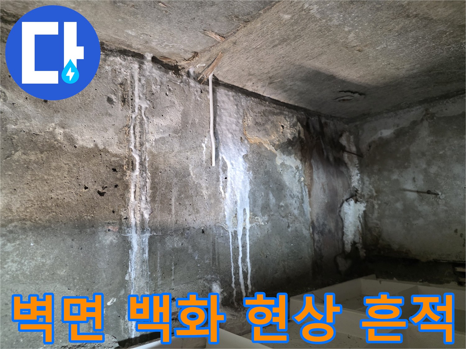 콘크리트 벽면을 타고 내려온 하얀 백화 현상과 습기 흔적