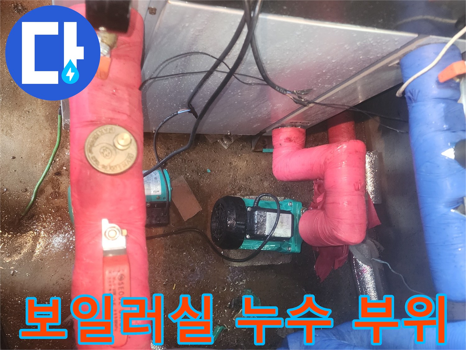 물기가 고인 바닥과 분홍색으로 감싸진 배관