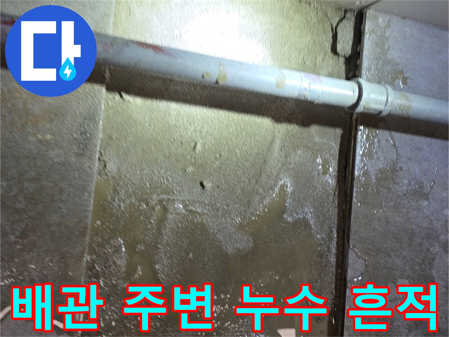 물기가 스며든 타일과 노출된 배관 부위 - 누수 탐지 중