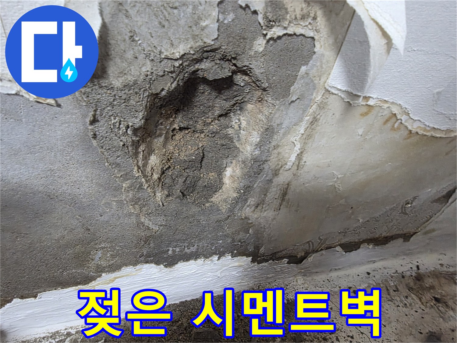 물샘 현상으로 인해-습기를 머금은 벽면 내부