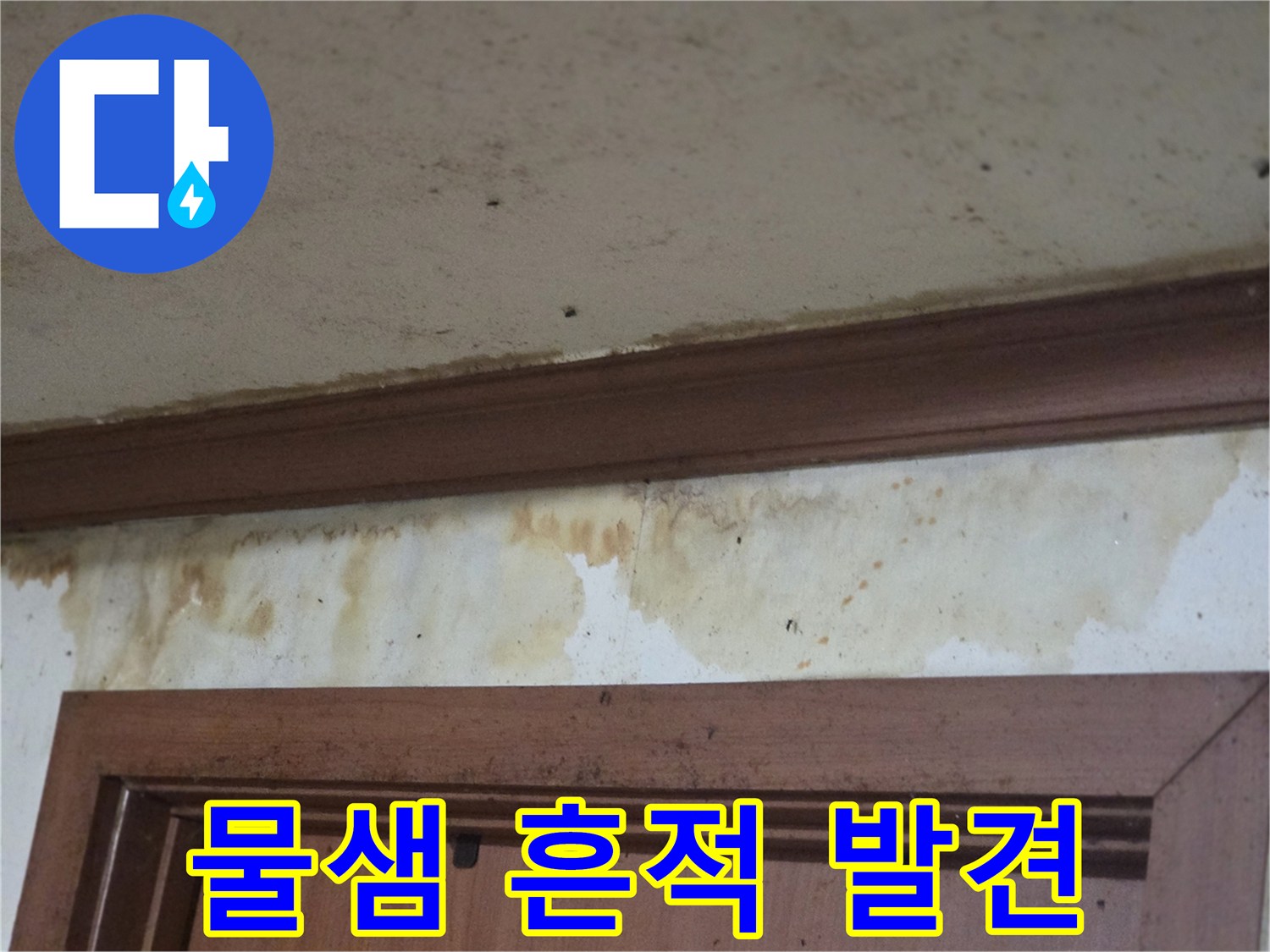 벽지와 몰딩 사이의 습기 얼룩-누수 진단 과정