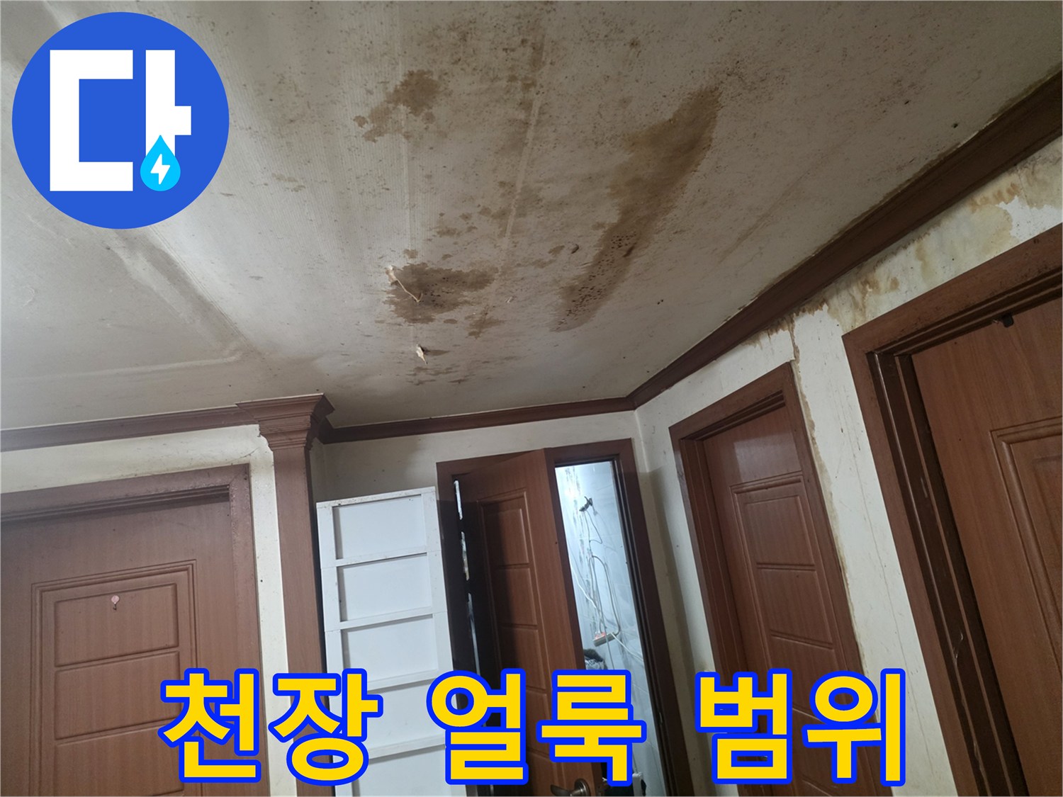 부천 오정구-물샘으로 인한 천장 벽지 오염