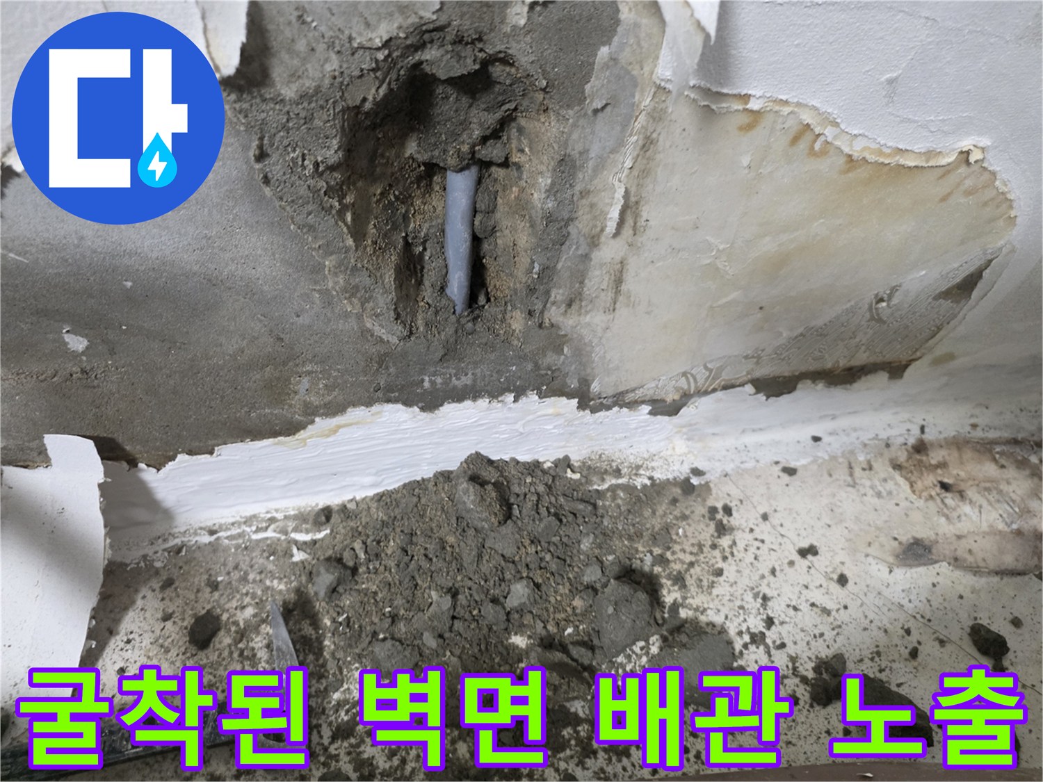 시멘트벽을 뚫고 드러난 문제의 회색 배관
