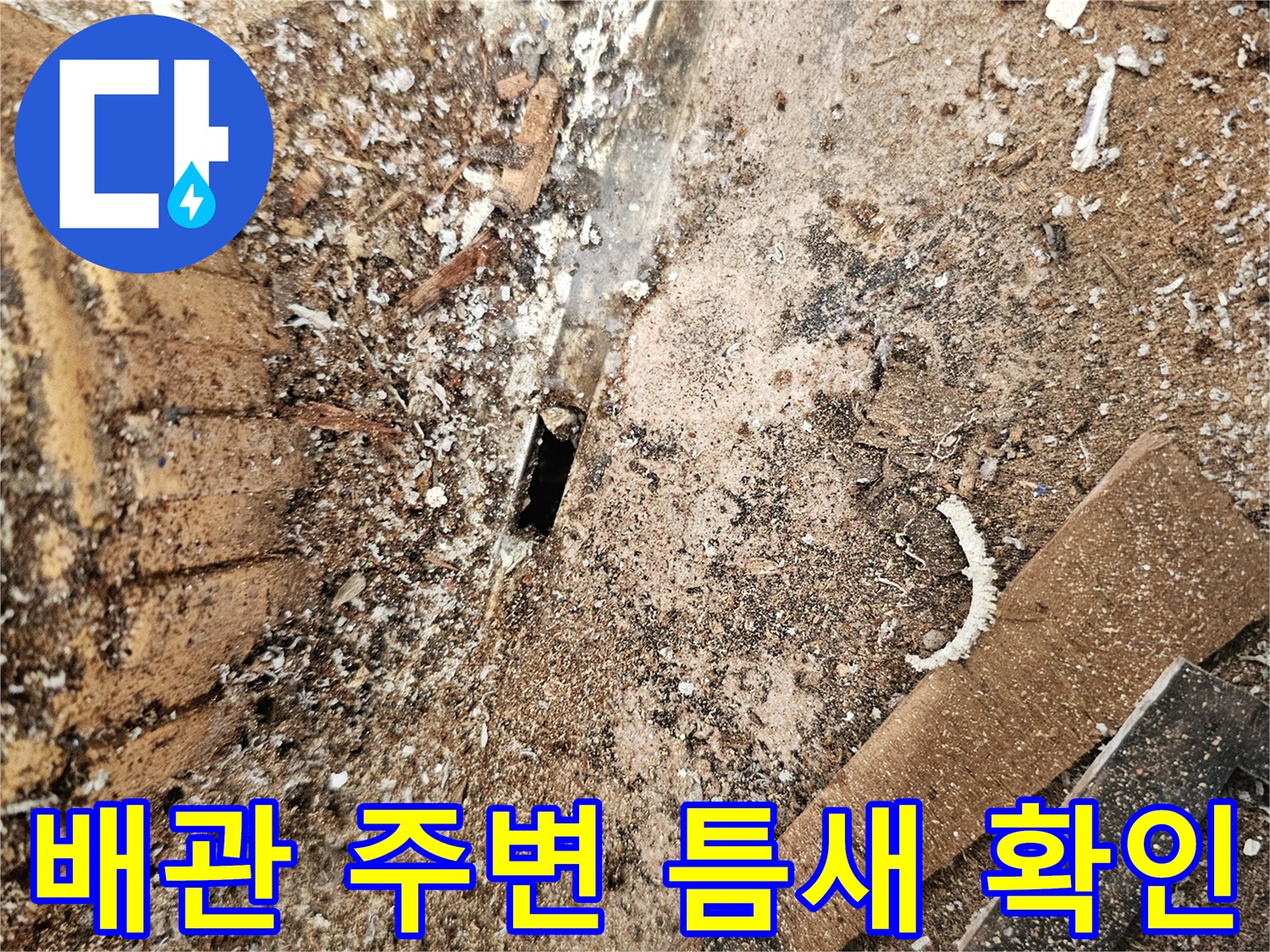 배수관-주변-방수층-파손으로-인한-누수-지점-확인