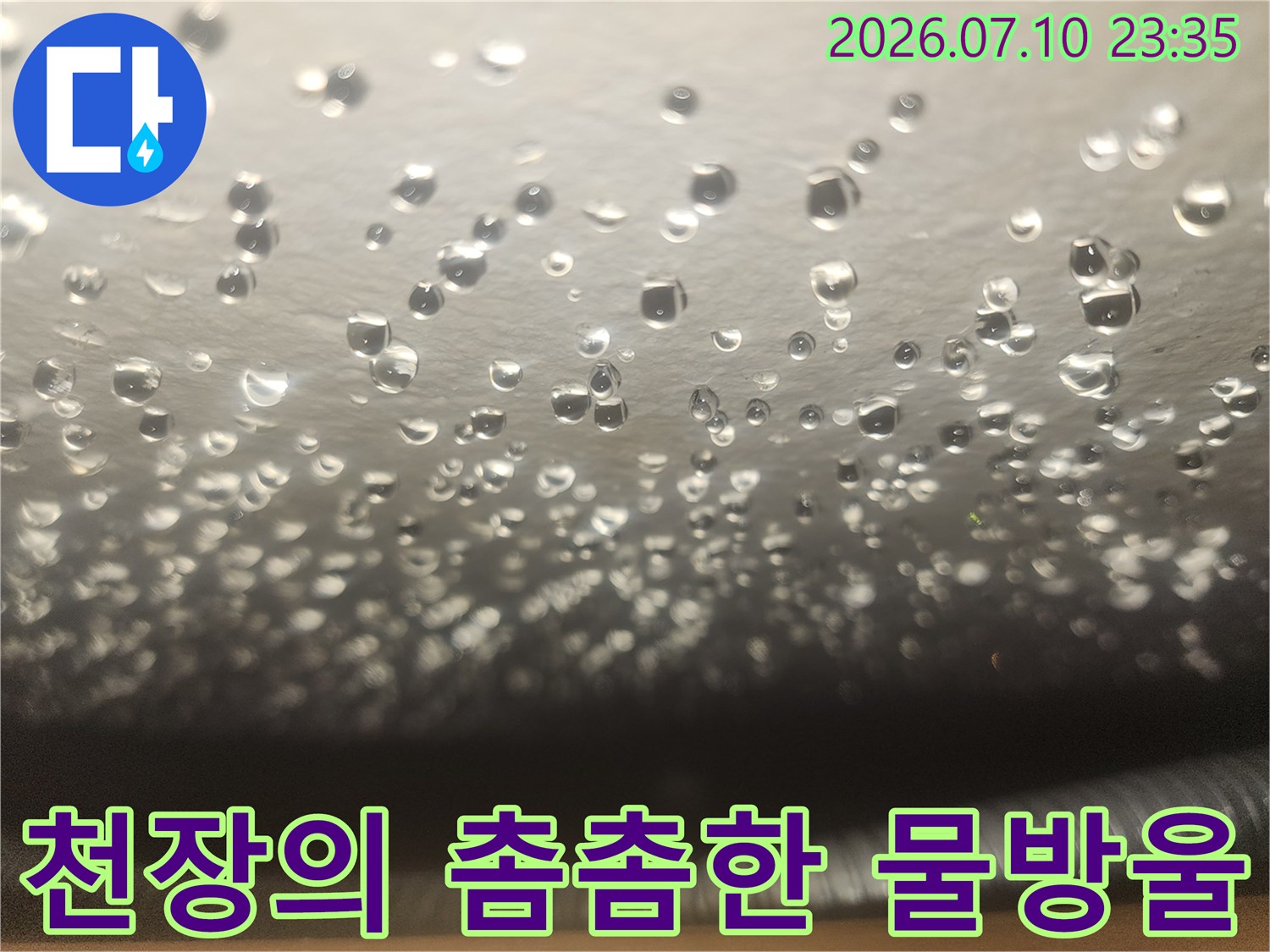 천장 면에 밀집된 누수성 수분과 고임 현황
