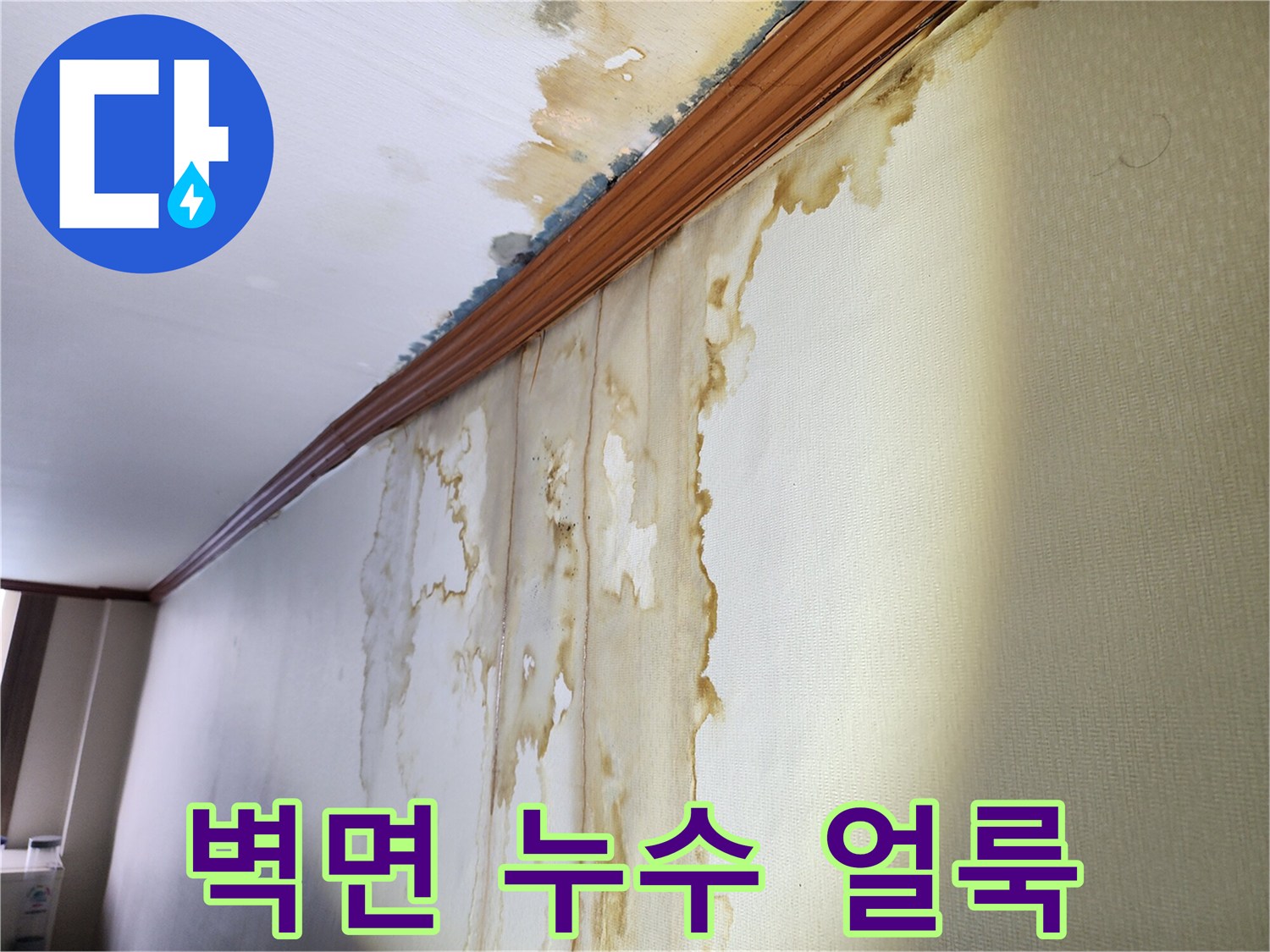 갈색으로-변색된-벽지 오염 부위