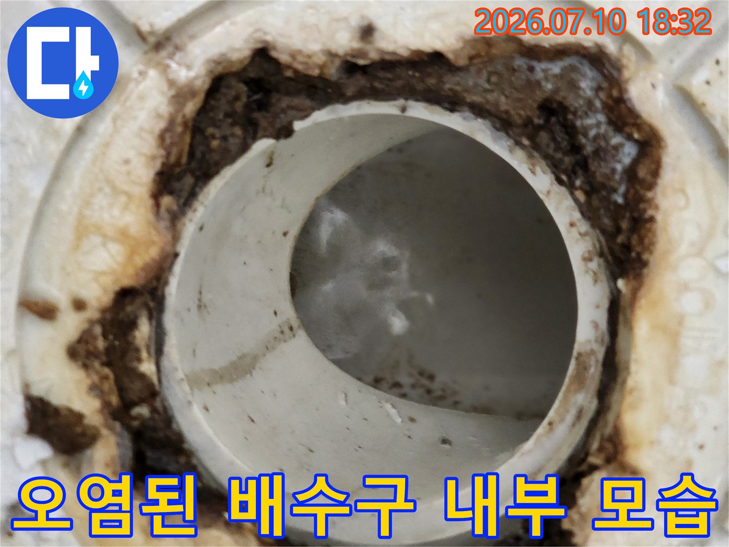 배수구 주변의 오염과 습기로 인한 하수관 누수 현장