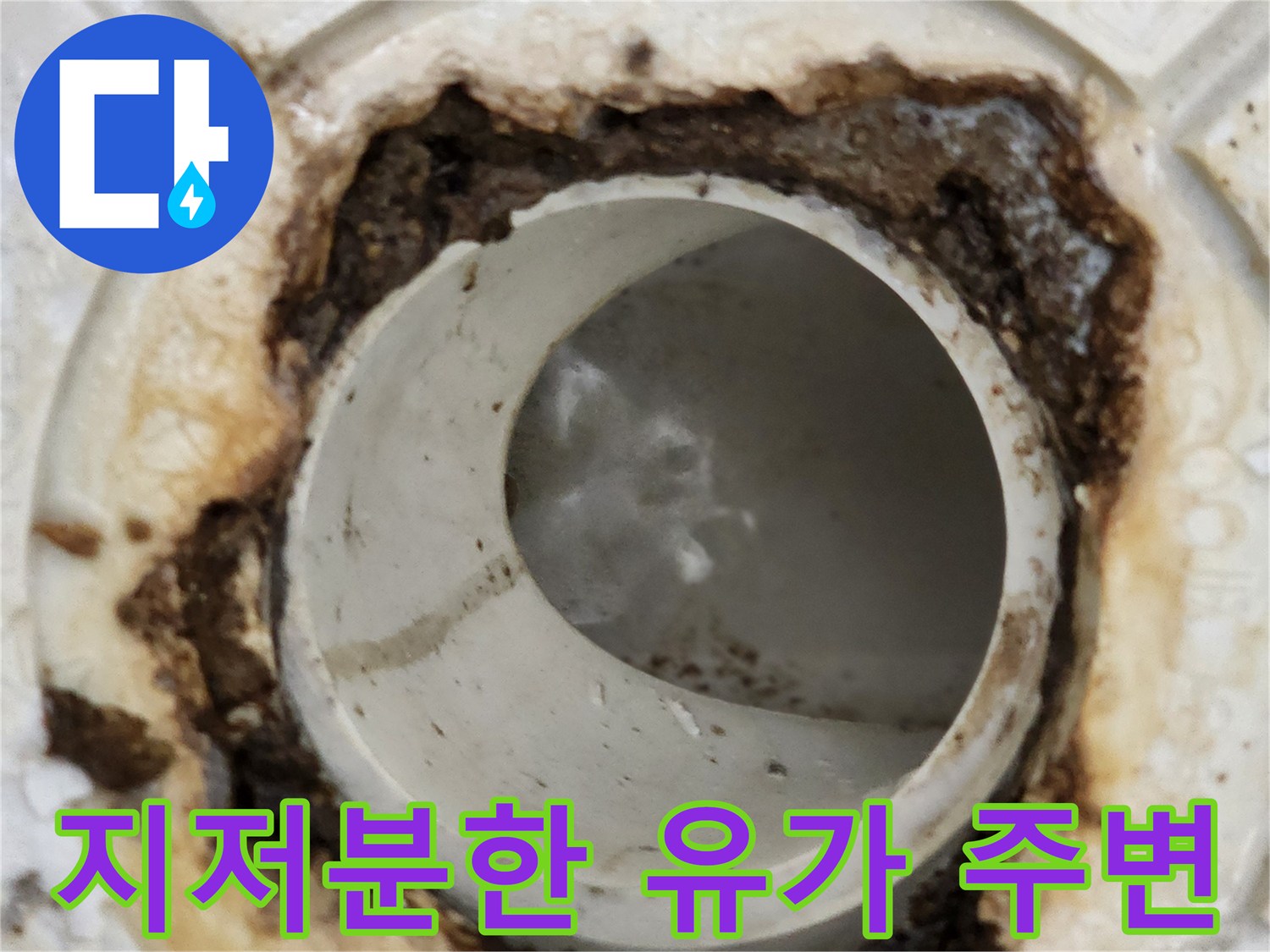 오염물로-뒤덮인-화장실-하수구-입구-상태
