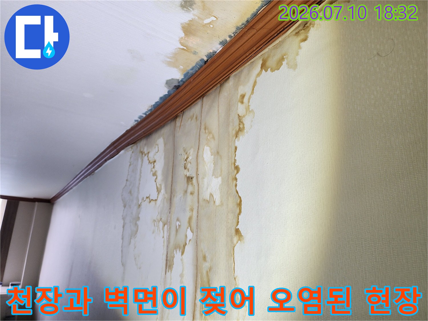 하수관 주변 방수층 파손으로 인한 벽지 물자국