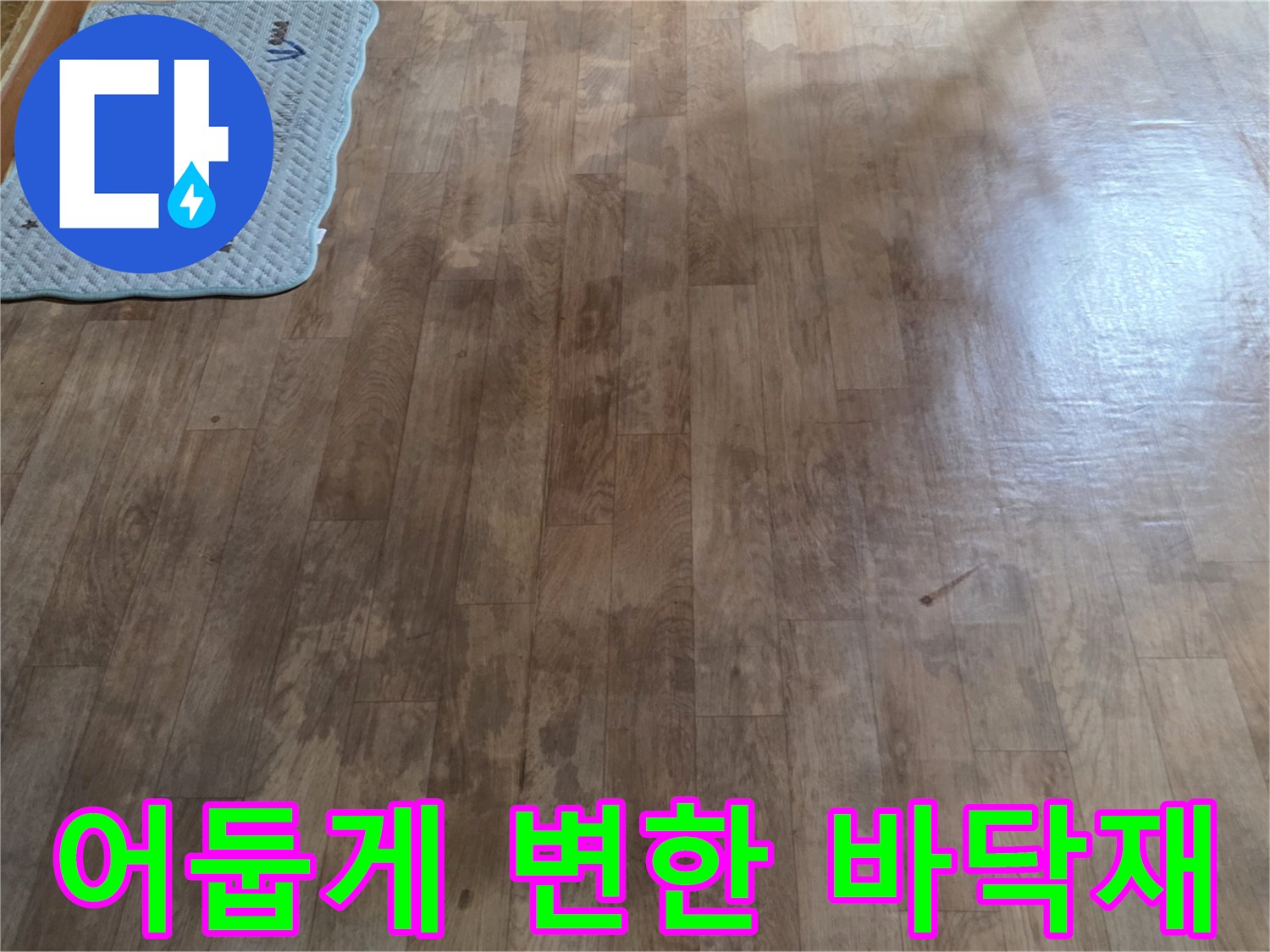 습기로 인해 짙게 변색된 거실 마루 부위