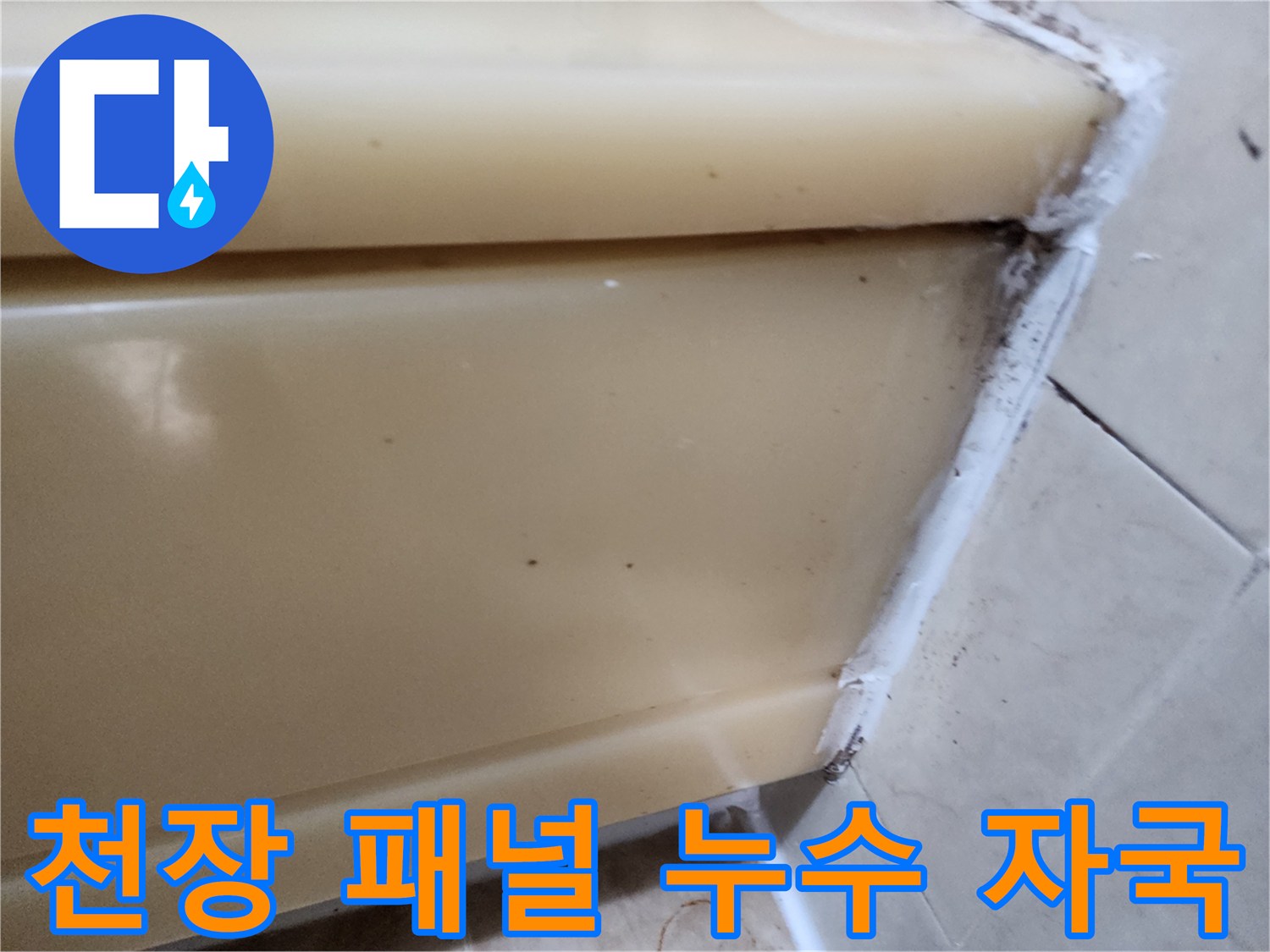 화장실 천장재 모서리의 갈색 오염물 확인