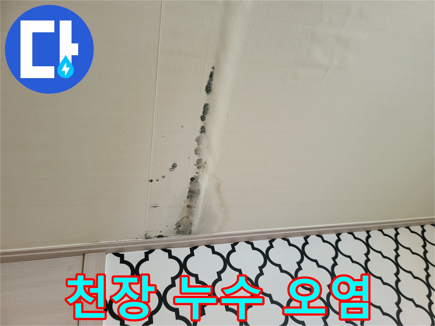 곰팡이가 발생한 거실 천장의 누수 흔적