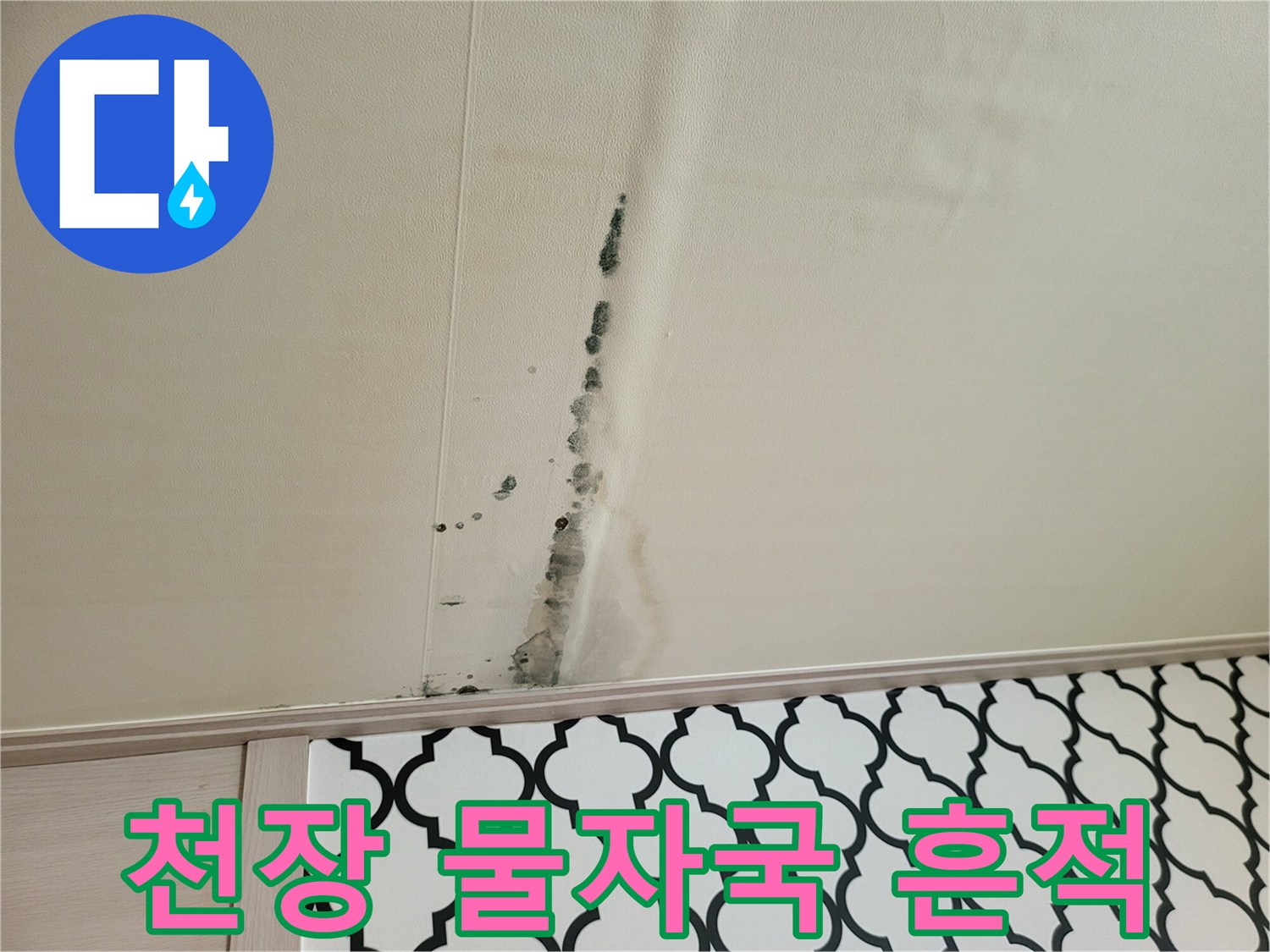 벽지를 따라 흐른 물의 이동 경로와 곰팡이