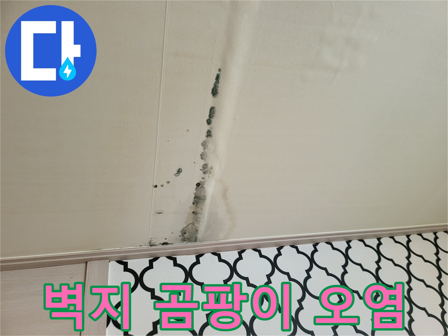 천장 벽지를 따라 번져 있는 곰팡이와 수분 흔적