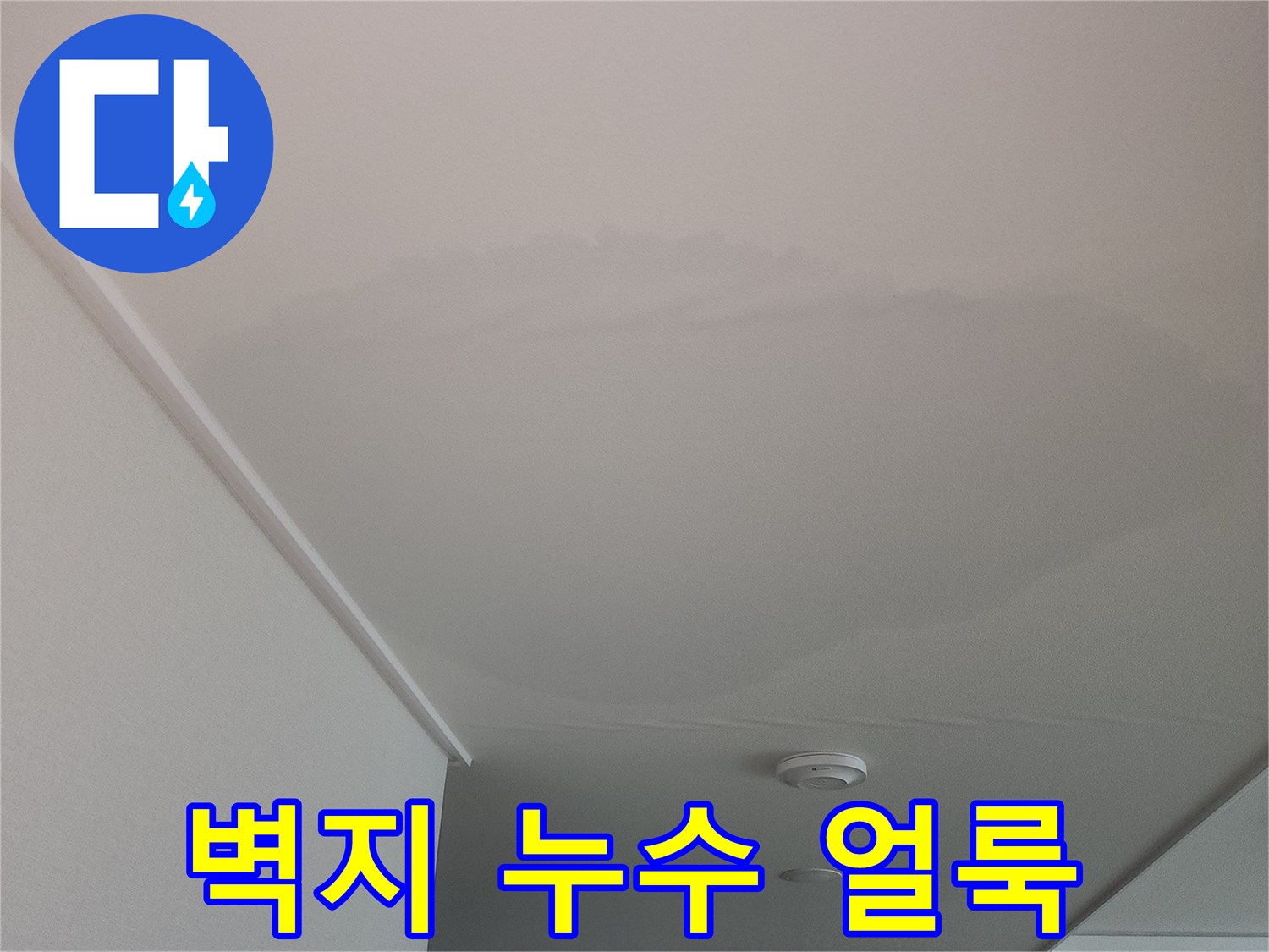물샘으로-변색된-아파트-내부-벽면