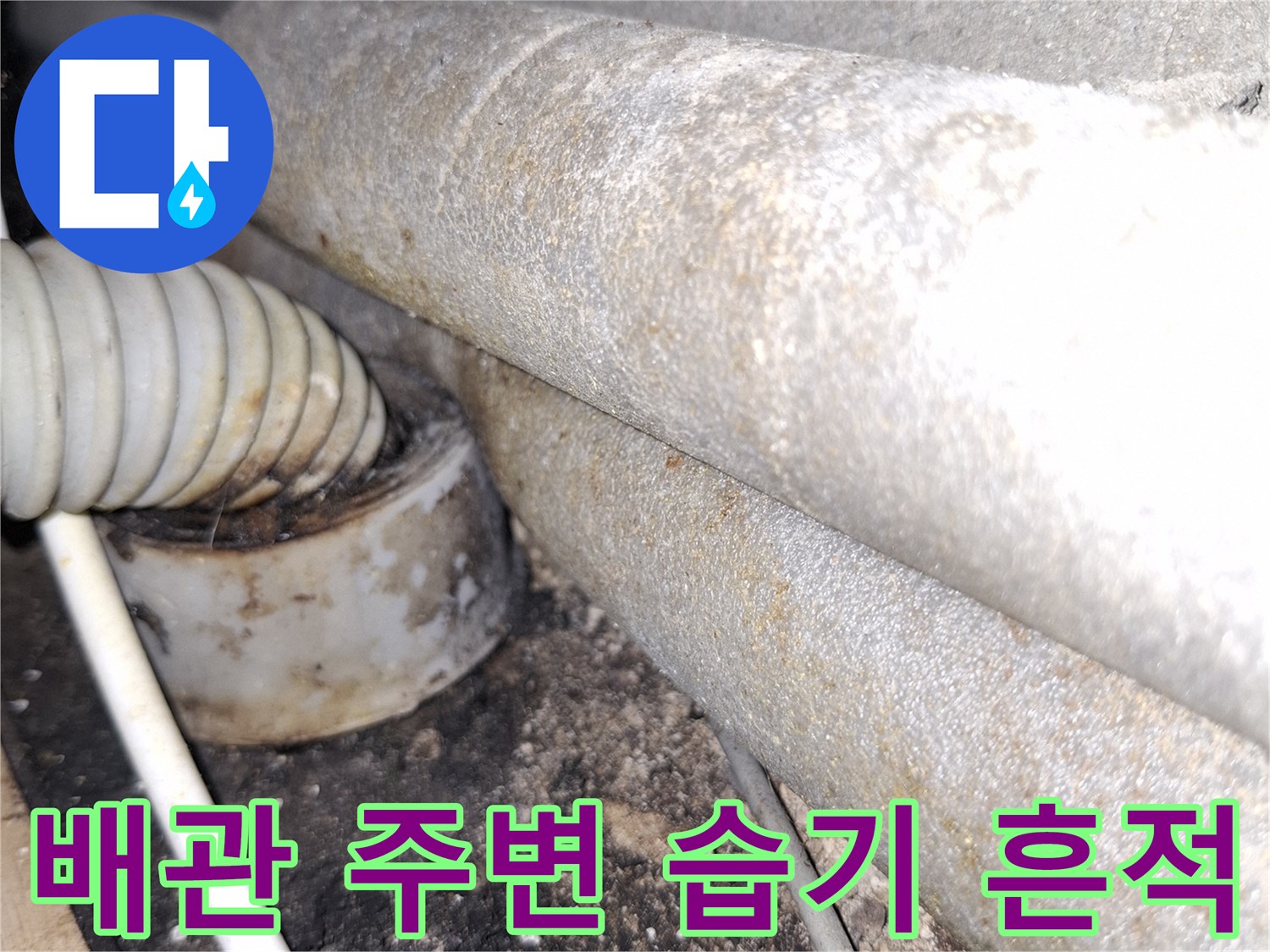 주방-천장-배관-주변의-습기와-오염된-상태