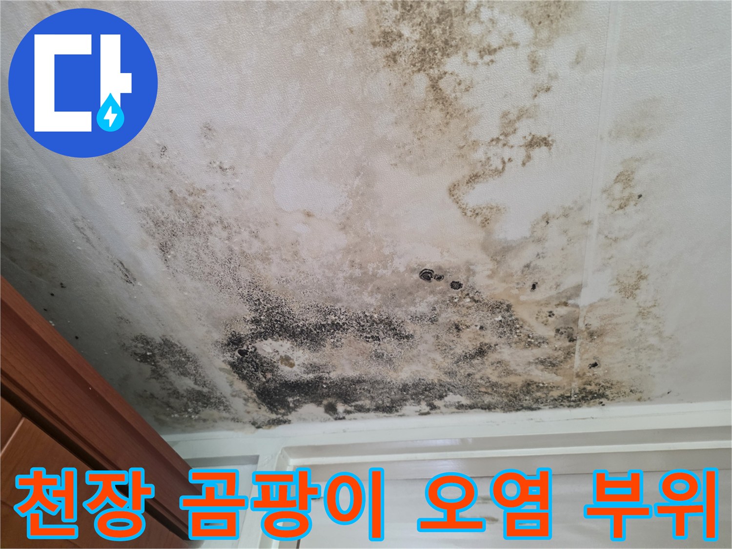 검게 변색된 천장 마감재와 넓게 퍼진 곰팡이 흔적