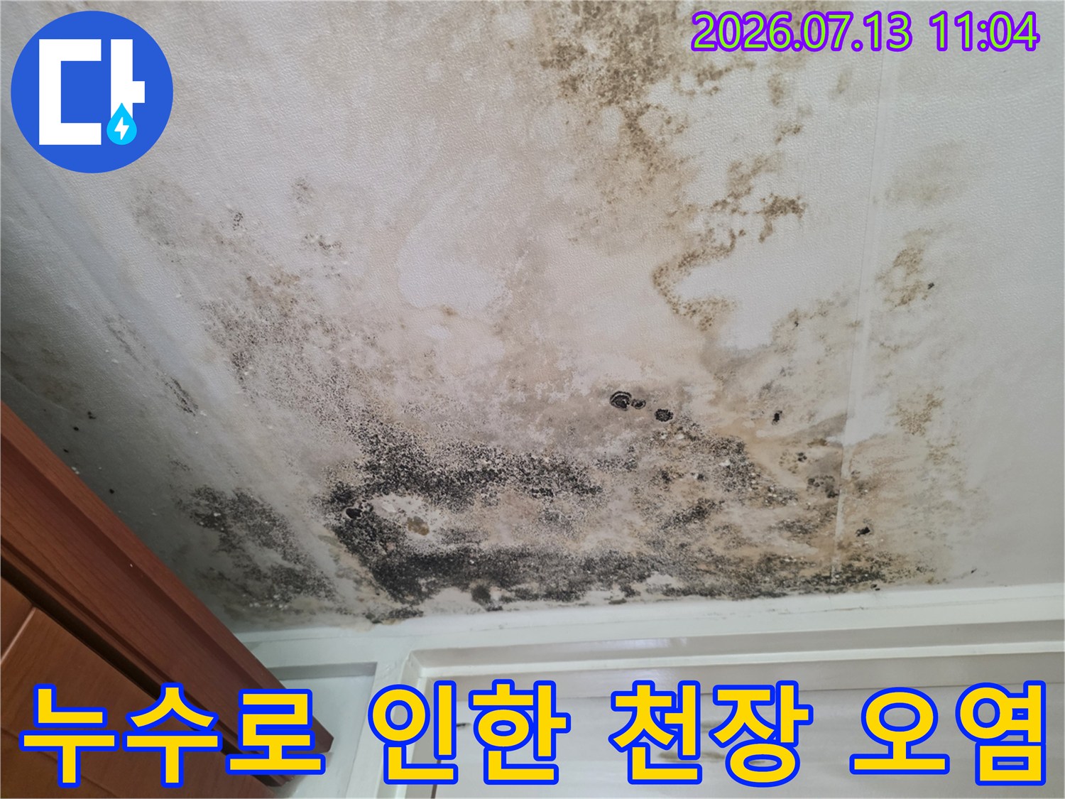 곰팡이와 습기로 얼룩진 아파트 내부 천장면