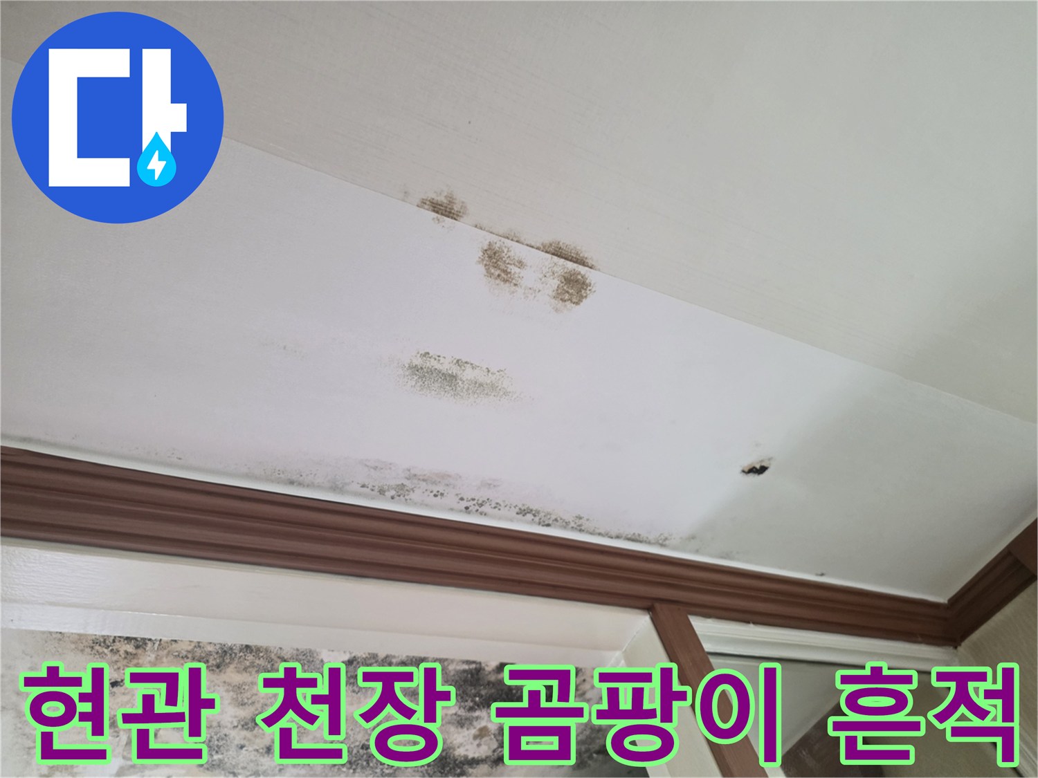 습기로 인해 발생한 천장 벽지의 어두운 색상 변색 부위