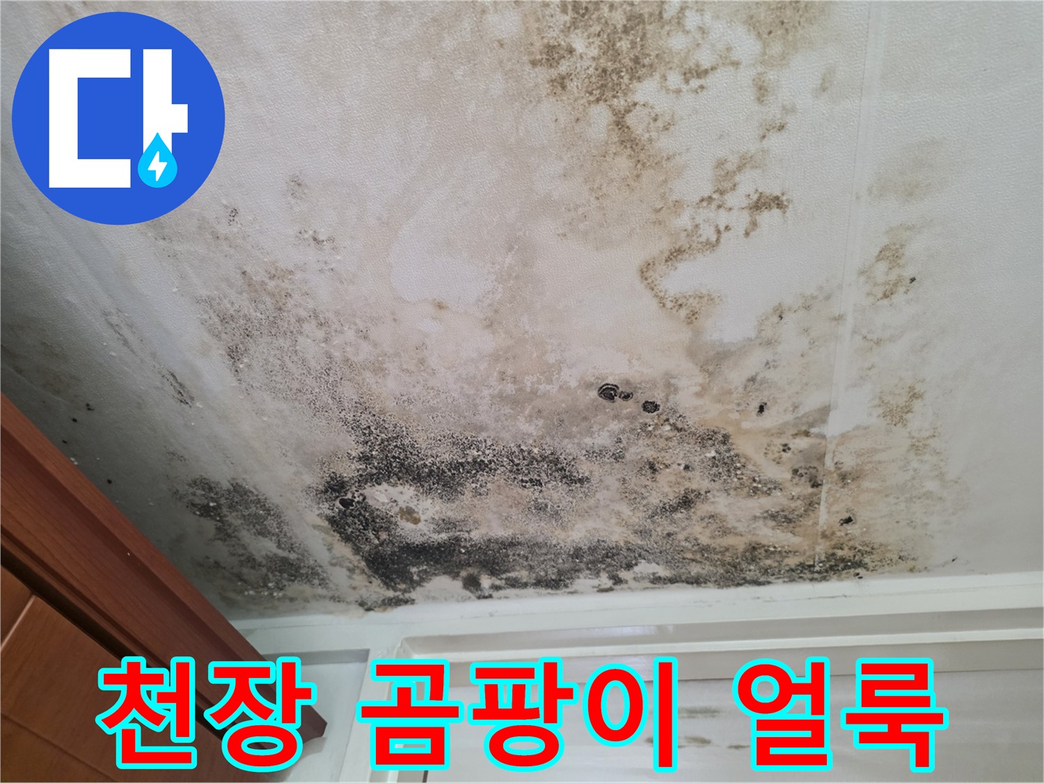 아파트-현관-천장에-광범서하게-퍼진-누수-및-곰팡이-흔적