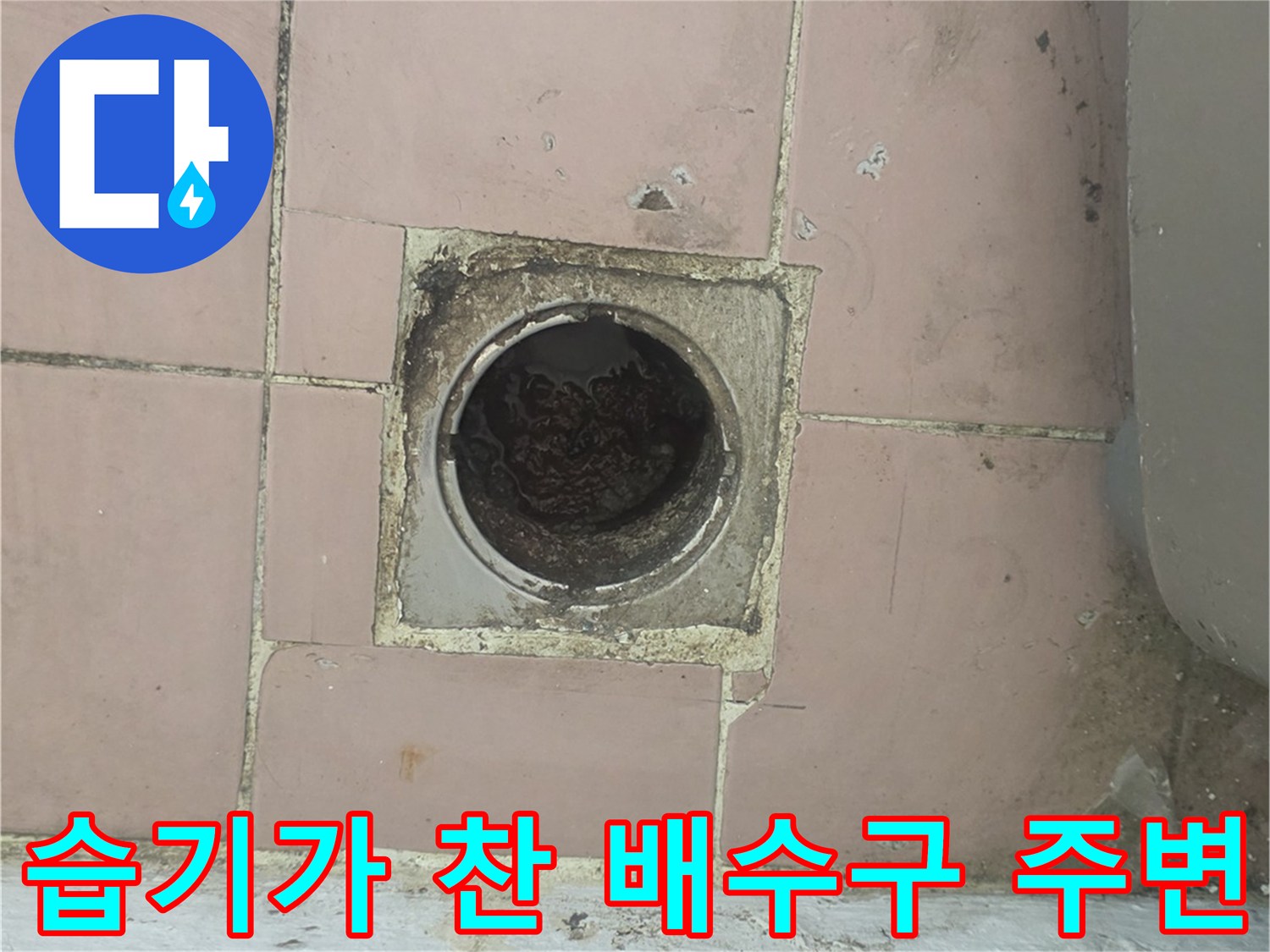 사동리 현장 사진-축축하게 젖은 배수구 주변 타일
