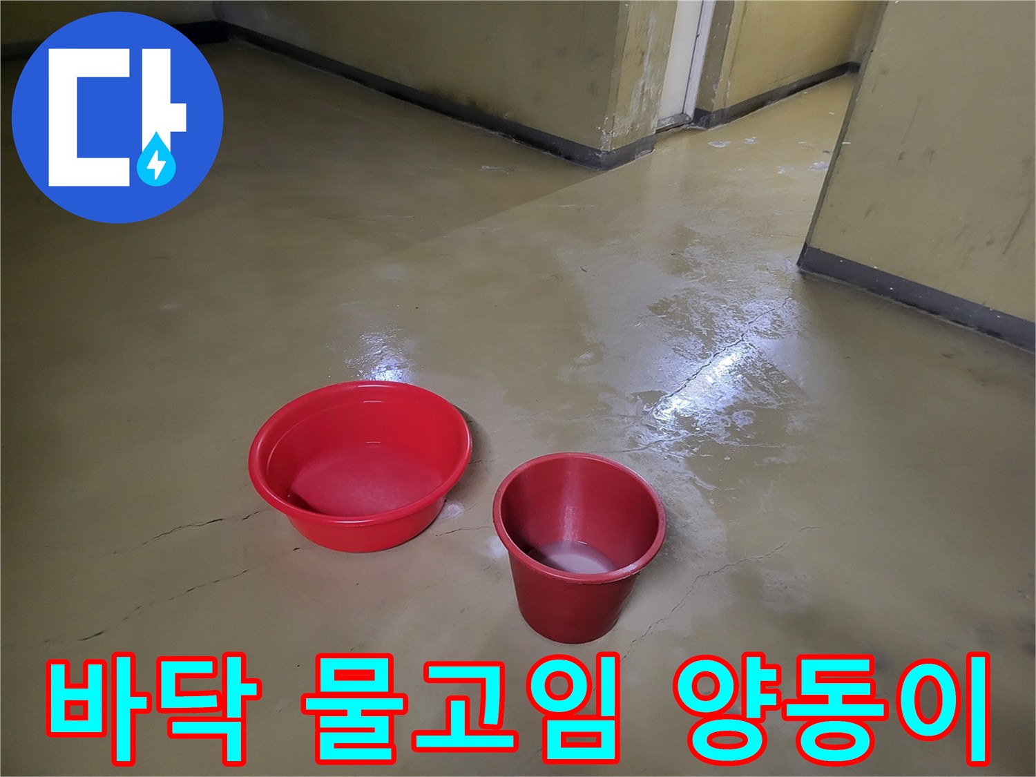 누수 현장-바닥에 고인 물을 받기 위한 빨간색 대야와 컵