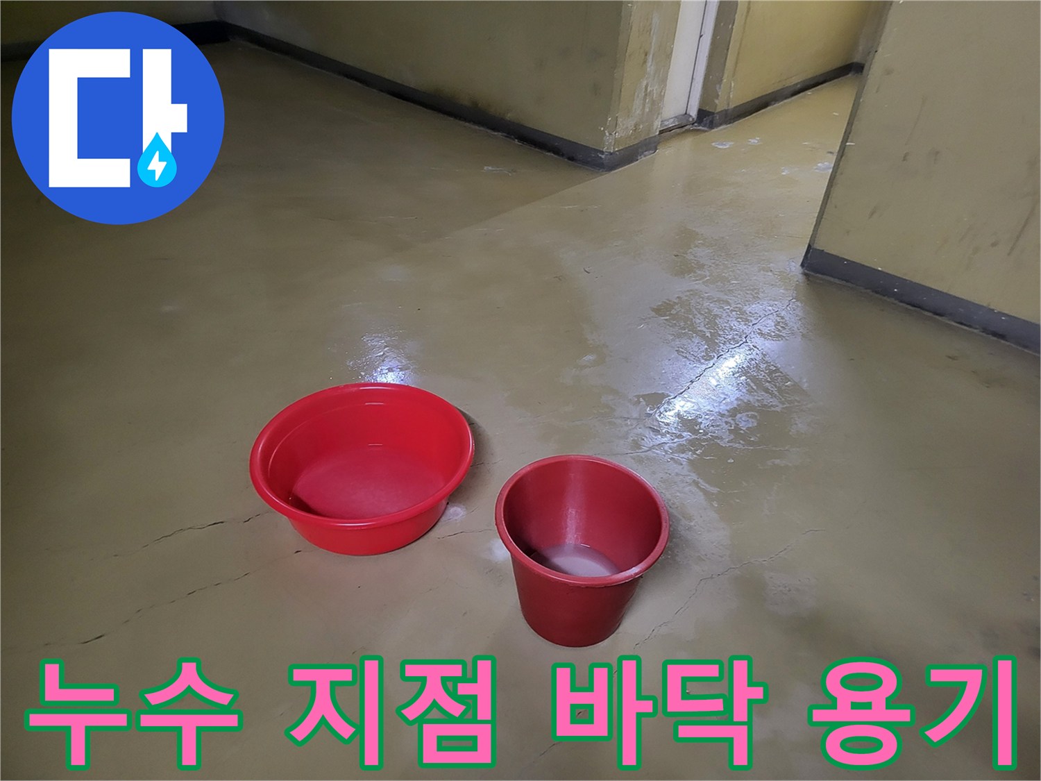 바닥 누수를 받치고 있는 빨간색 대야와 컵-작업 현장
