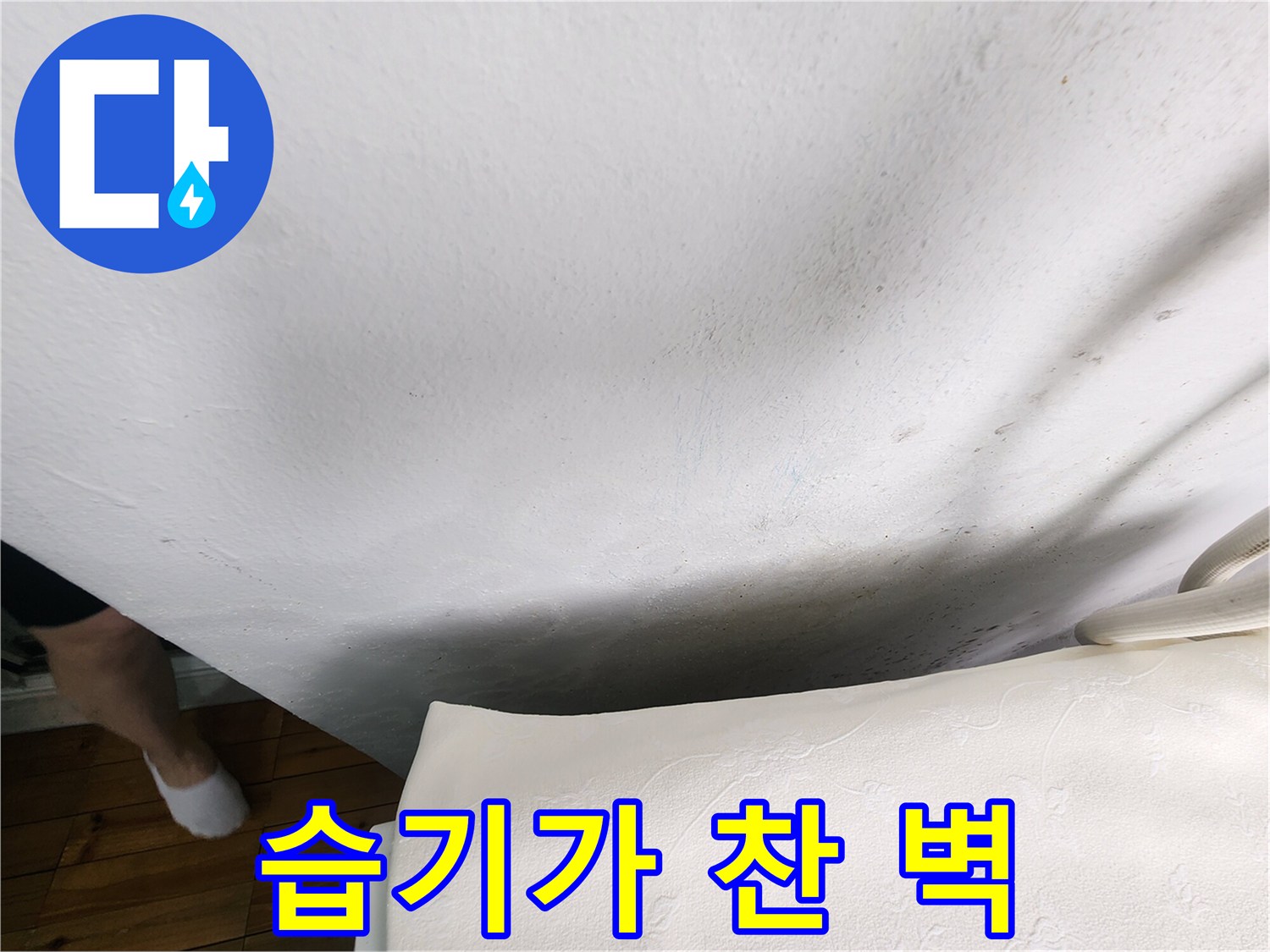 배관 결함으로 인해 습기가 침투한 벽면 모습