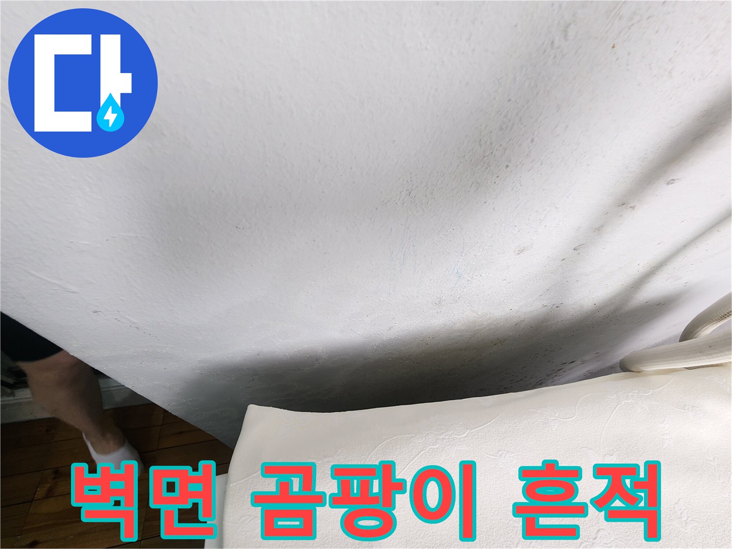흰색-벽면에-발생한-검은색-곰팡이와-습기