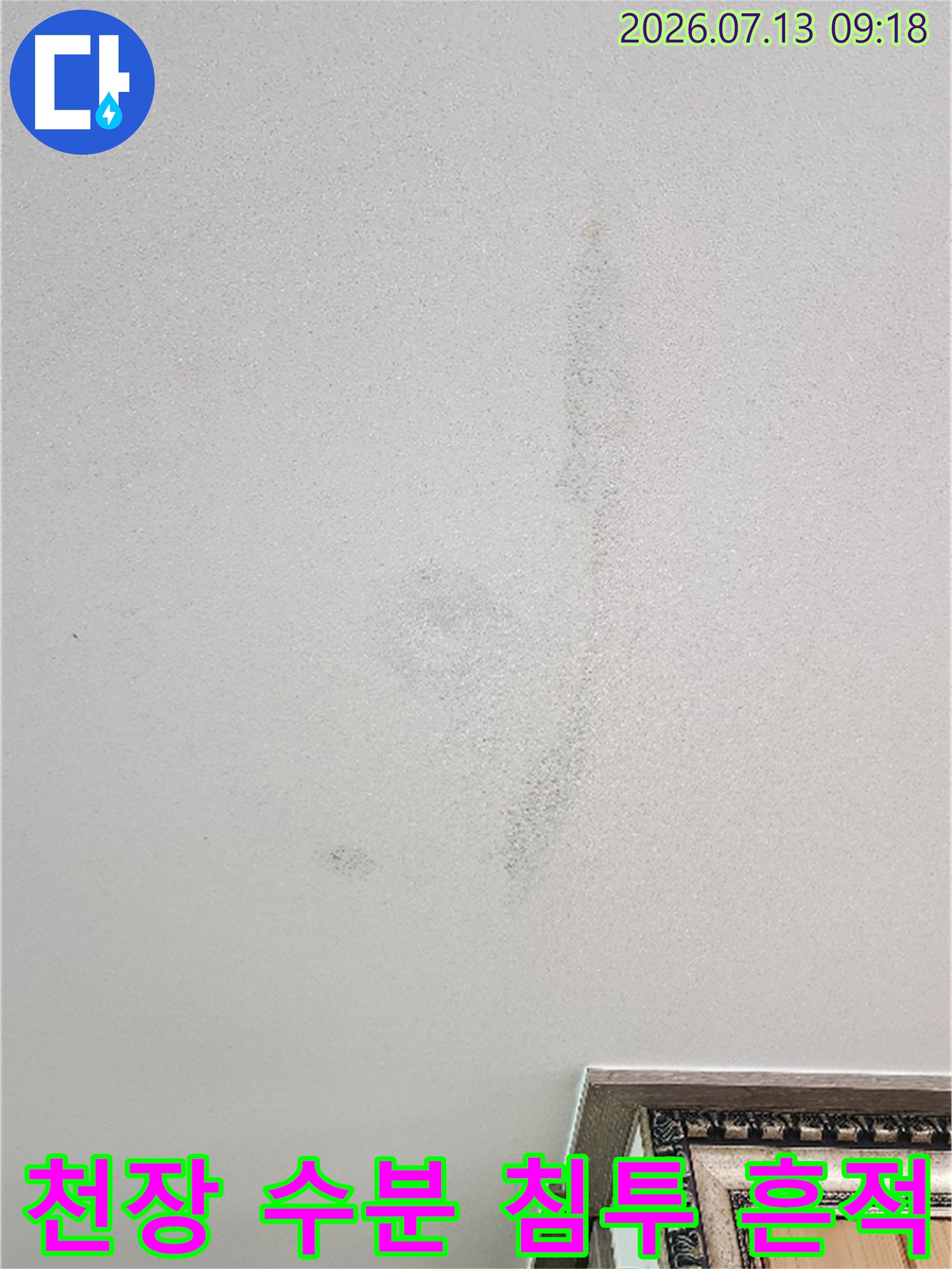 천장 마감재에 고착된 누수 얼룩과 변색 부위