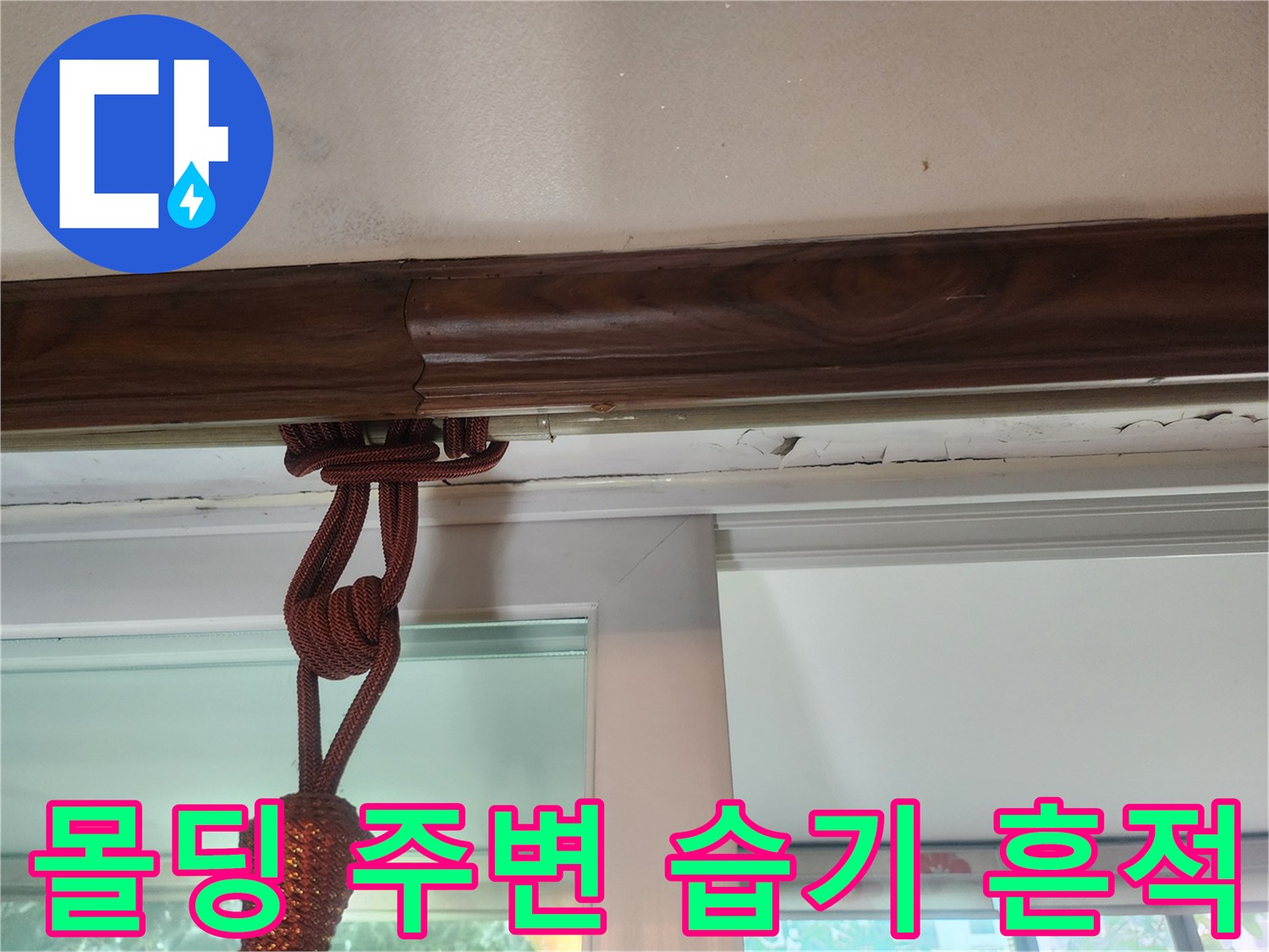 천장 몰딩 아래쪽의 젖은 자국과 얼룩
