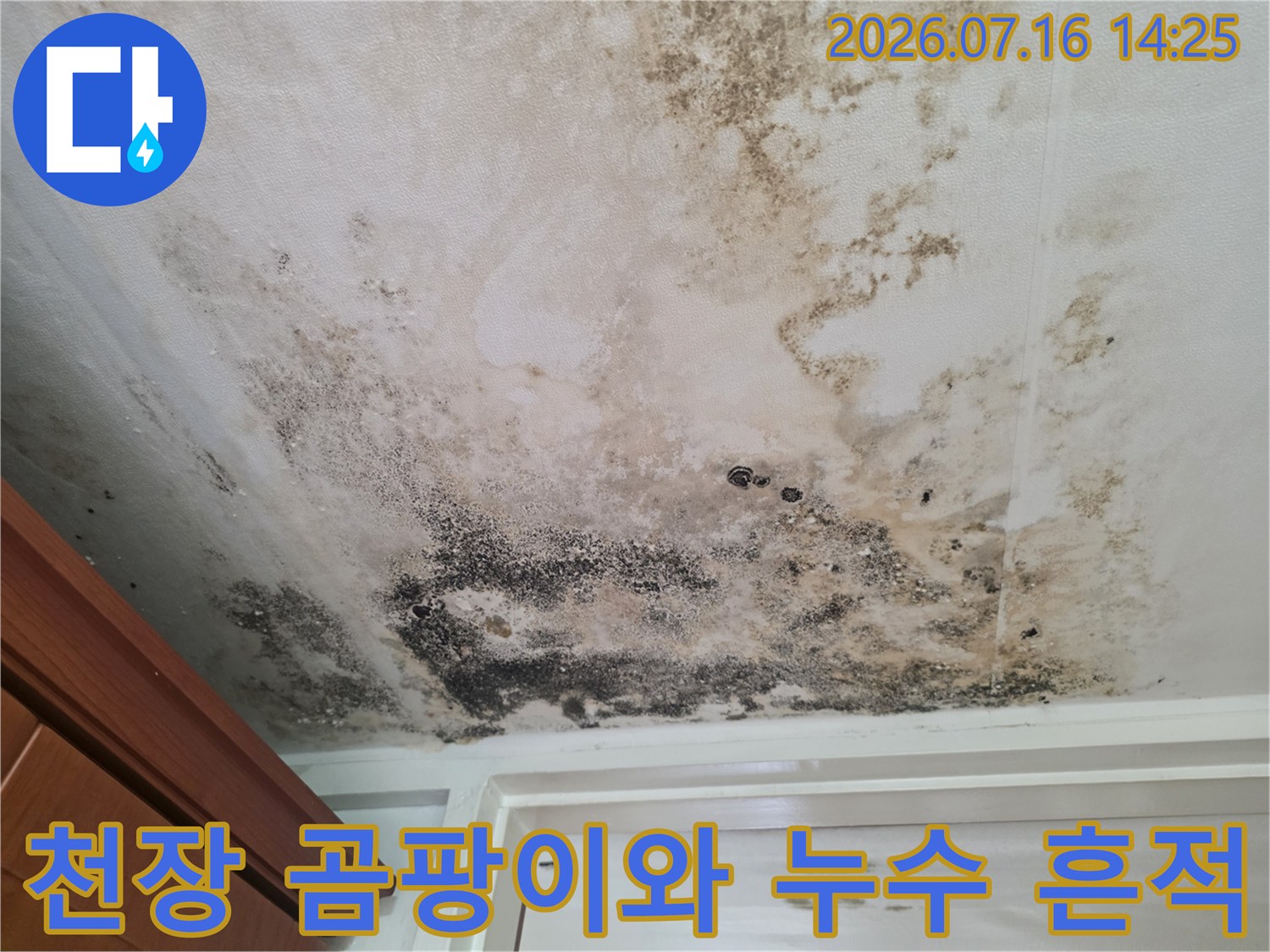 거실 천장에 발생한 검은색 곰팡이와 물에 의한 얼룩 자국