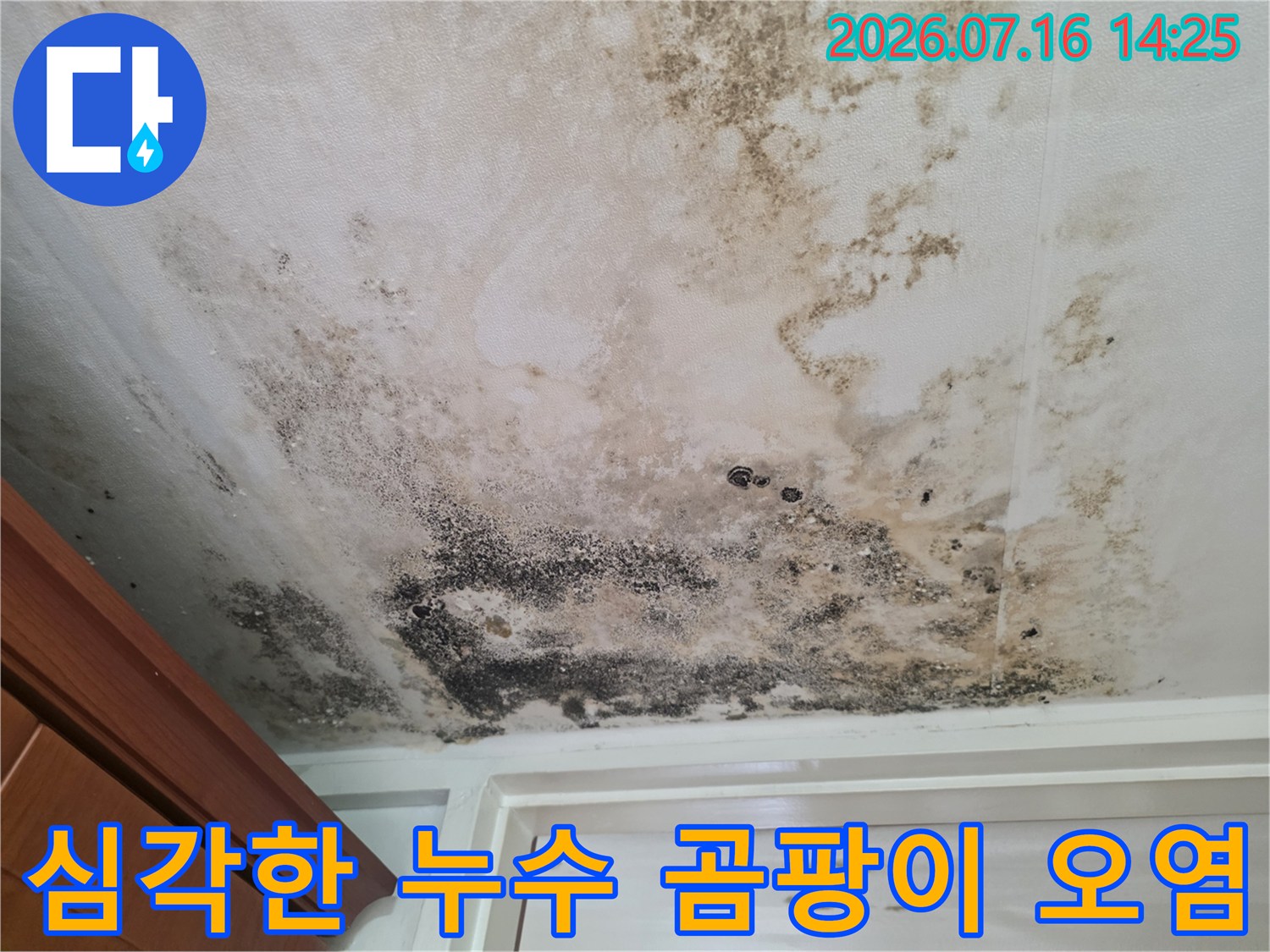 검은색 곰팡이가 발생한 천장 마감 부위 모습