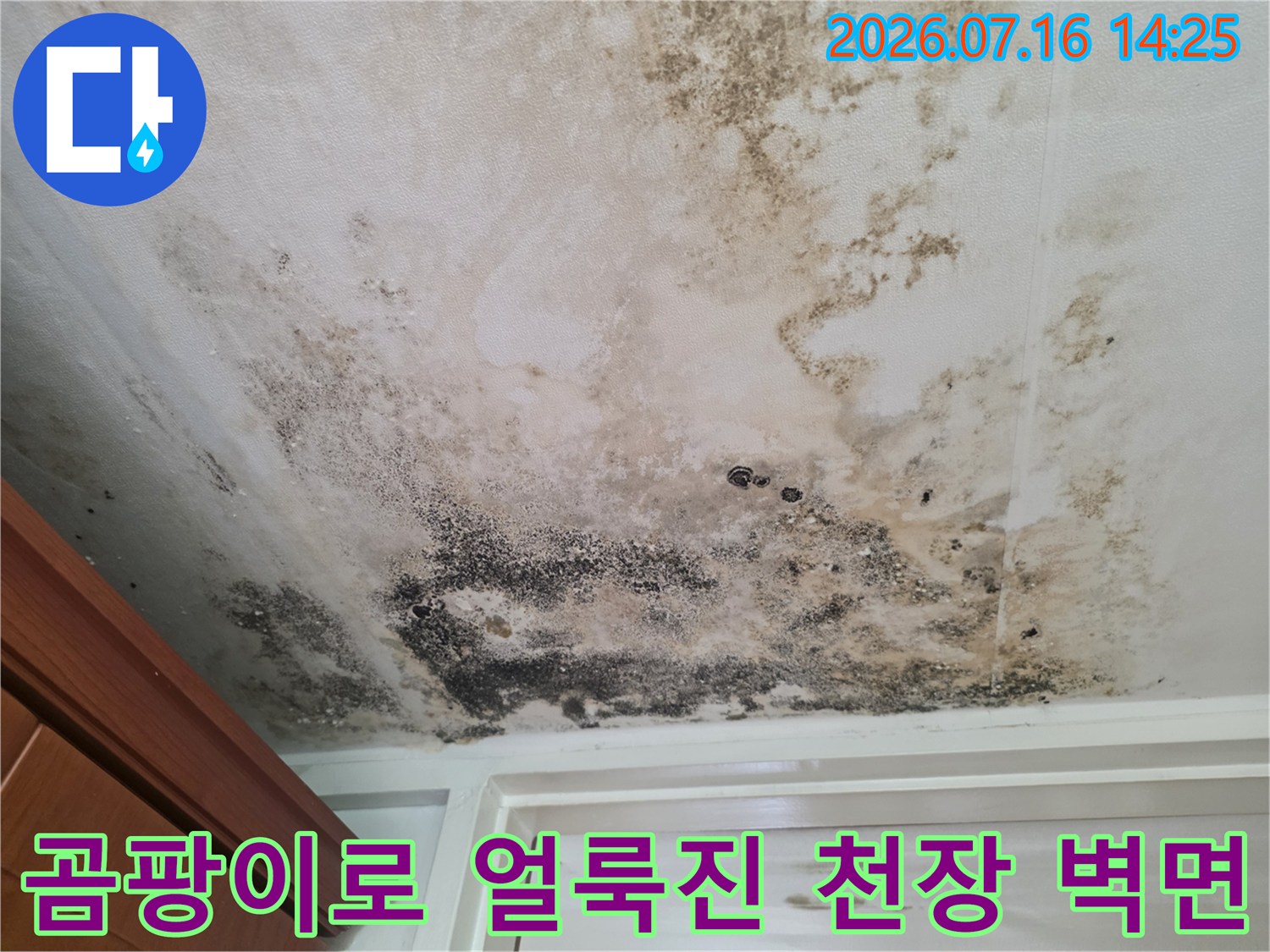 곰팡이가 발생한 흰색 천장 마감재의 누수 피해 현장