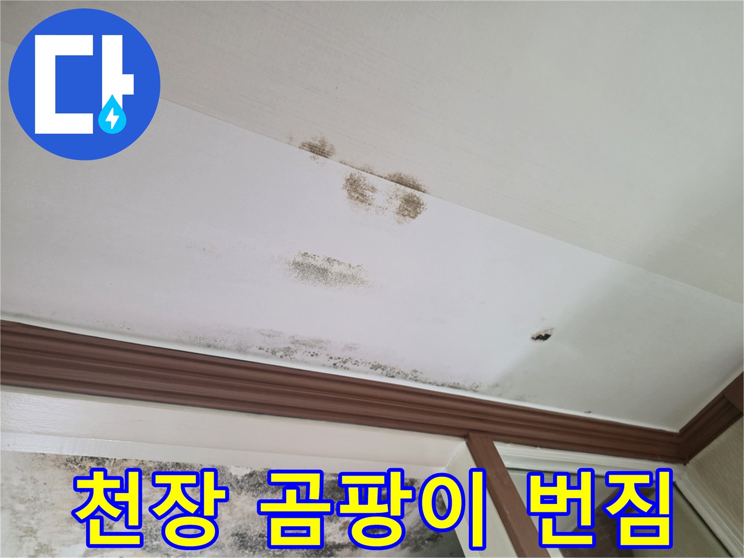 물자국을-동반한-천장-벽지의-곰팡이-오염-상태