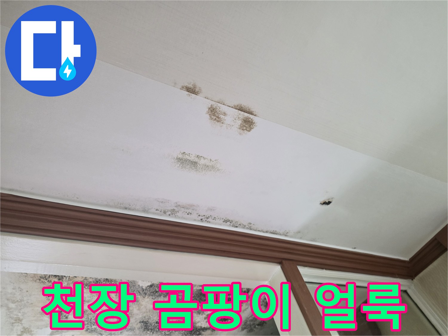 천장에 발생한 검은색 곰팡이와 습기 머금은 물 얼룩